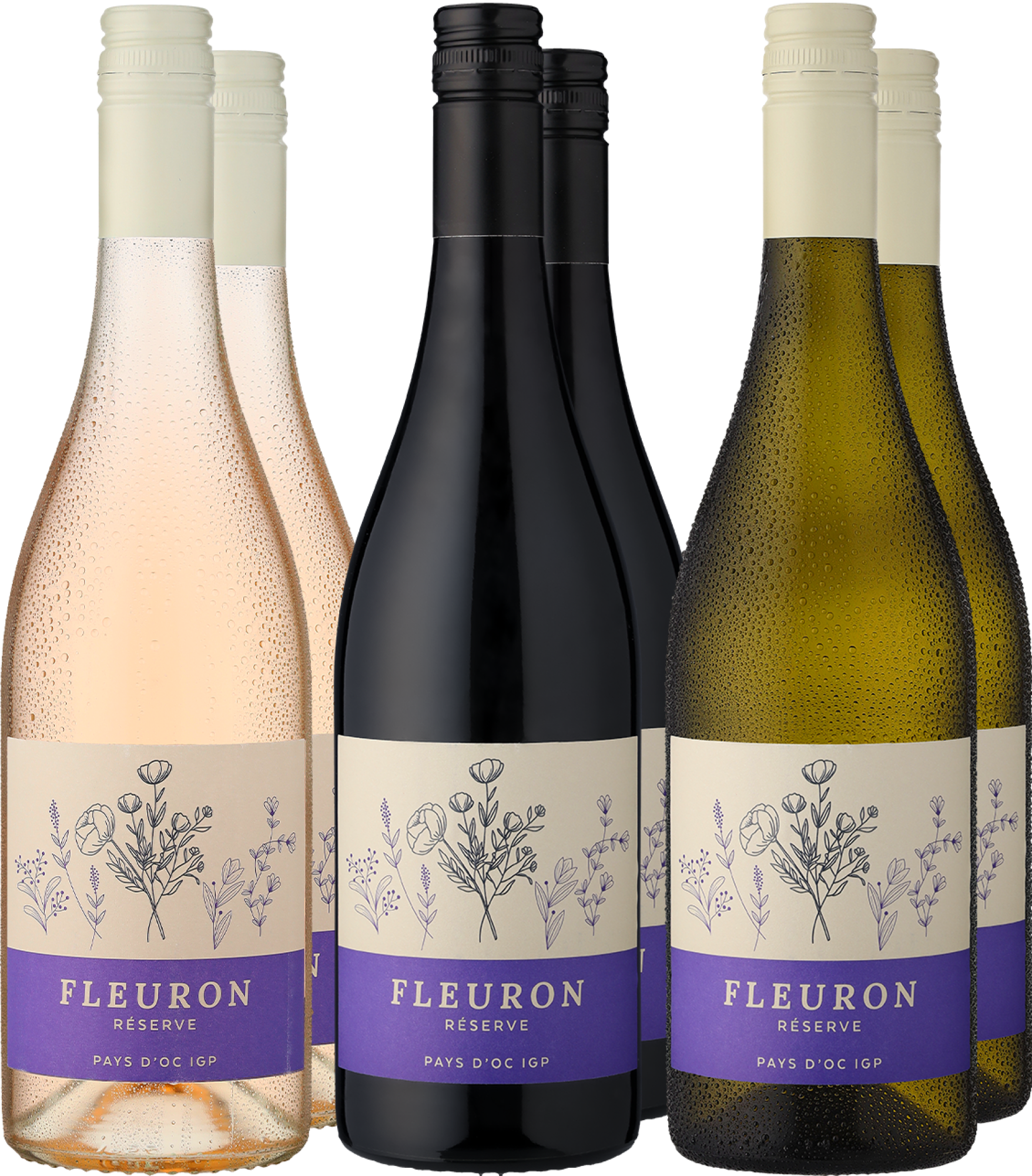 4002859996363 - 6er-Probierpaket »Fleuron-Entdecker«