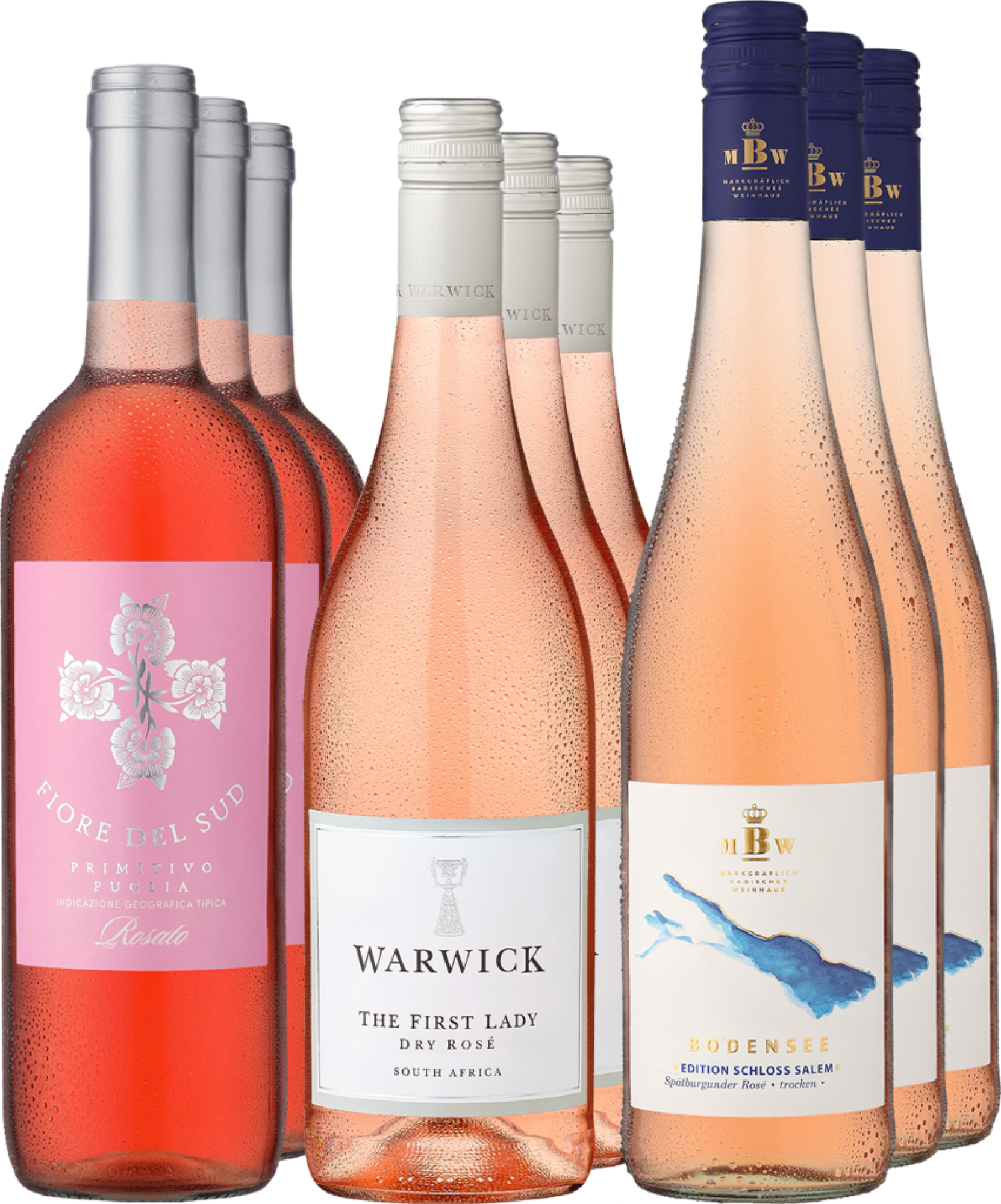 9er-Probierpaket »Roségenuss für den Sommer« Eggers und Franke GmbH Ludwig von Kapff DE