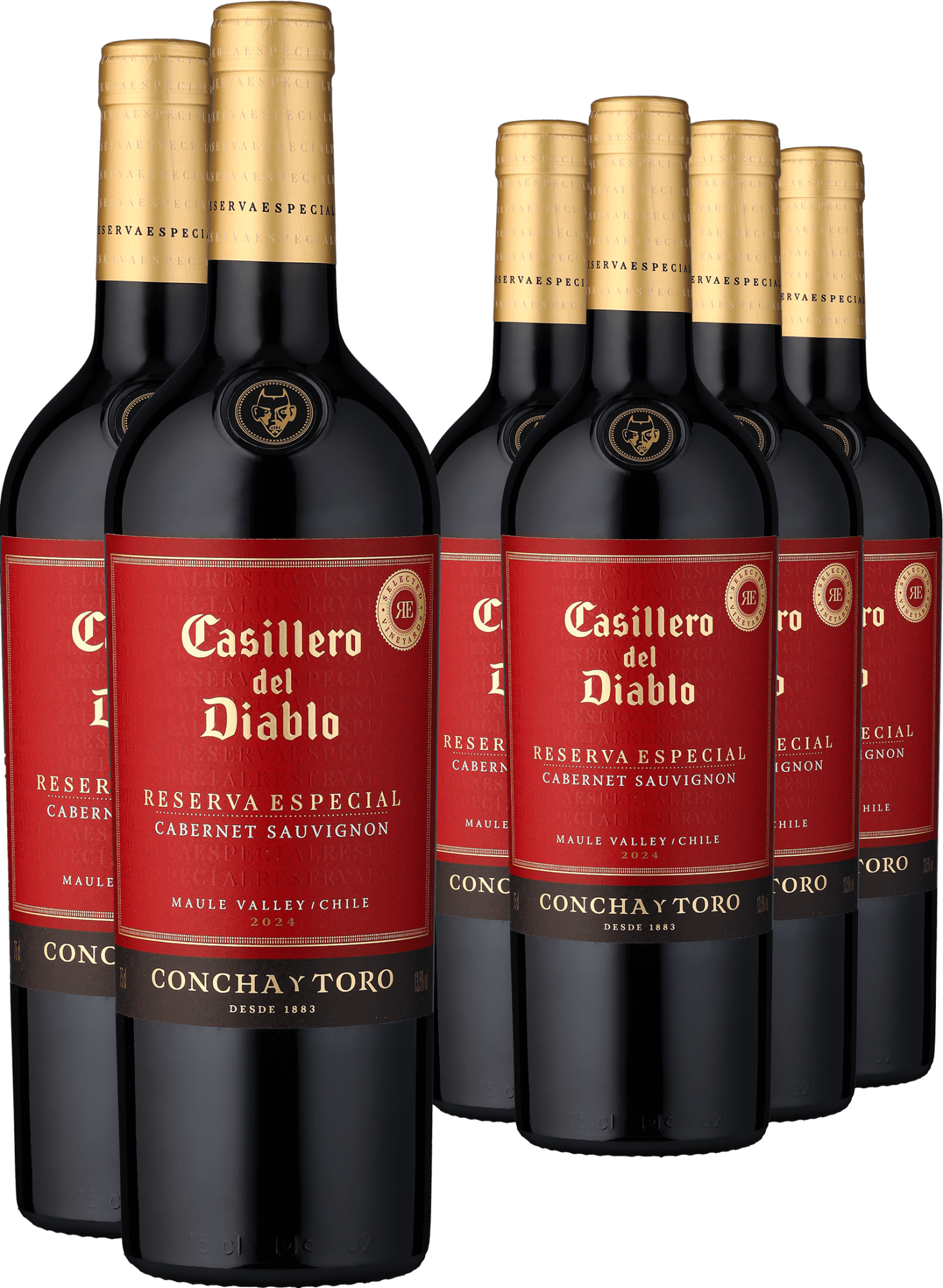 4+2-PAKET Casillero del Diablo Reserva Especial Cabernet Sauvignon 2023
