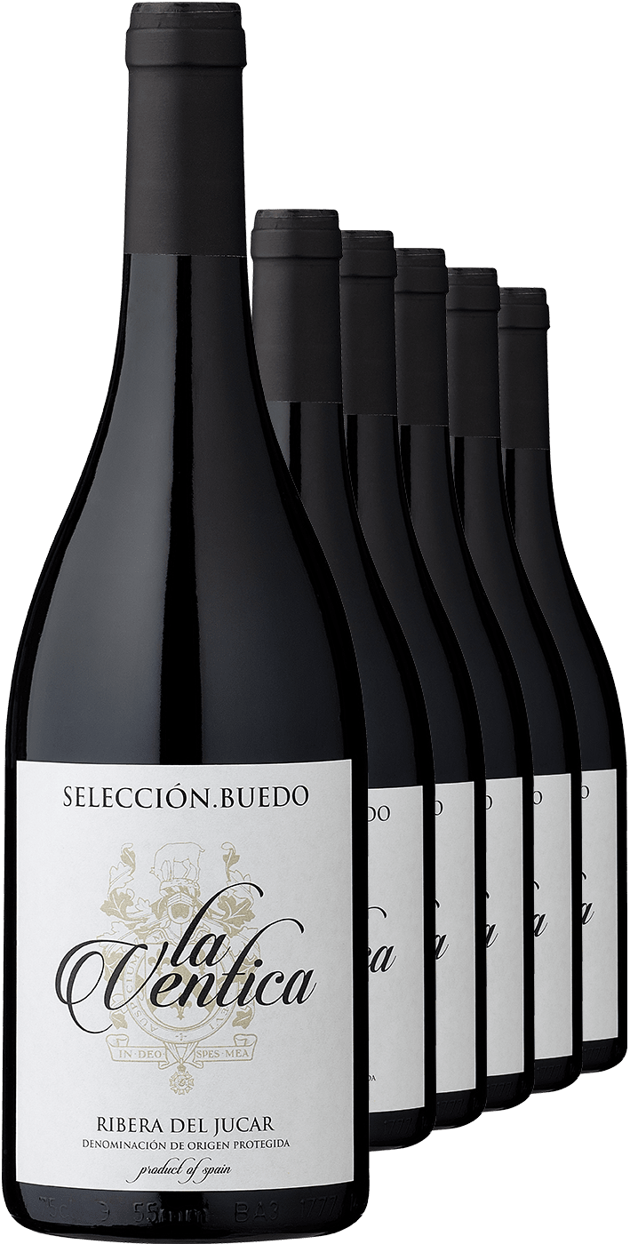 2018 »La Ventica« Selección Buedo Tempranillo im 6er-Vorratspaket Bodegas la Magdalena Ludwig von Kapff DE