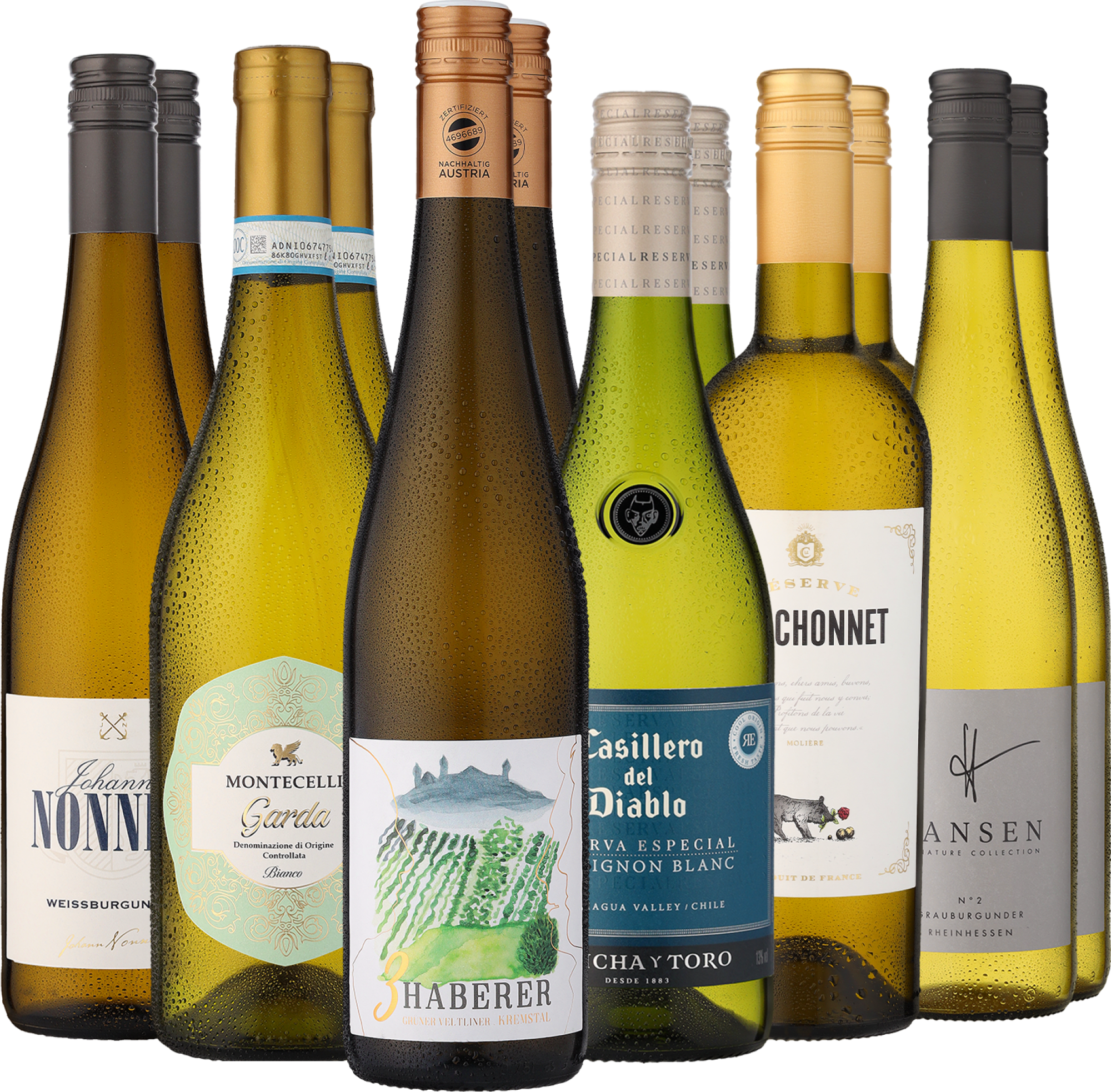 12er-Probierpaket »Genussreise Weißweine«