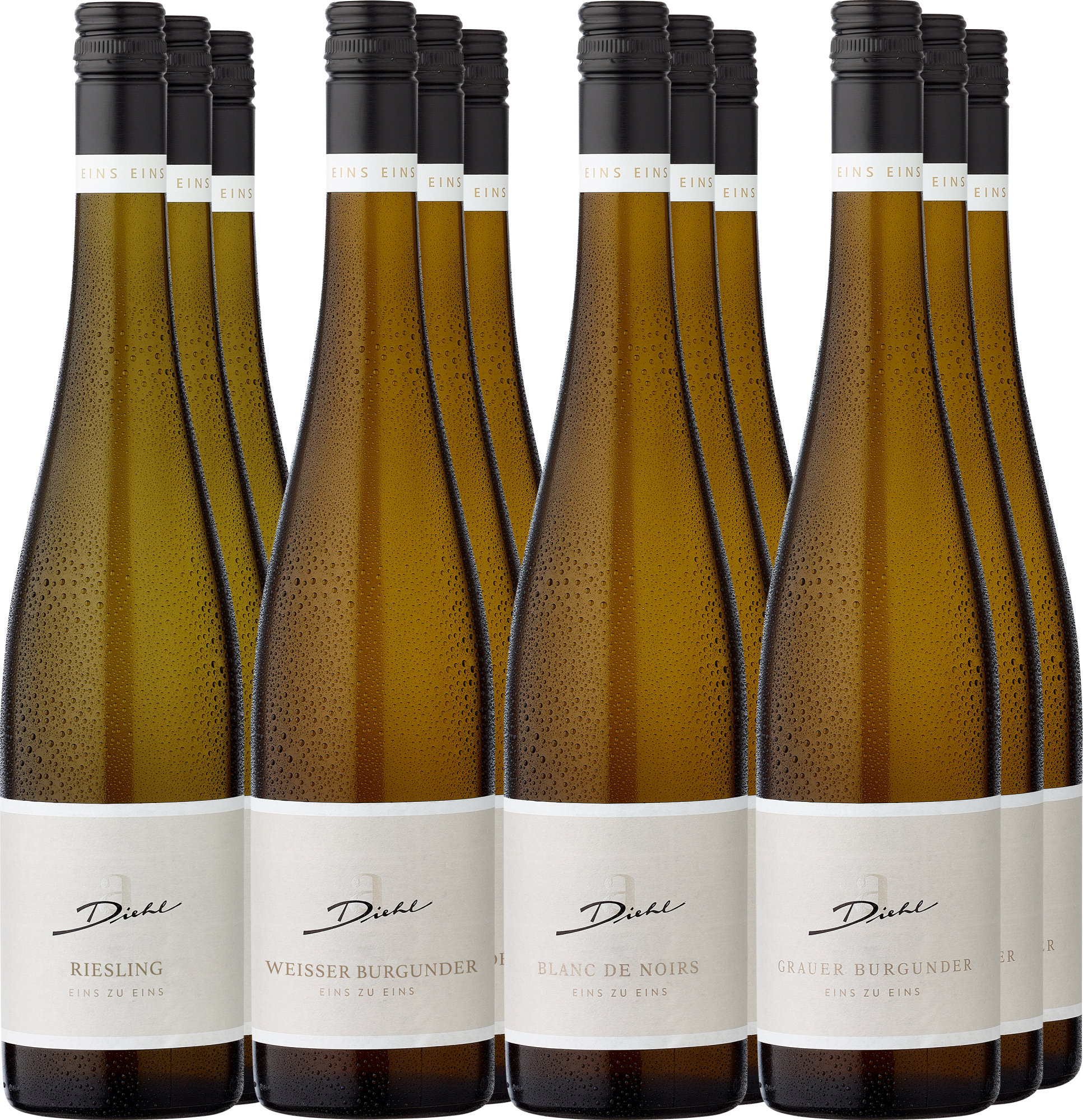 12er-Probierpaket »Weingut A. Diehl«