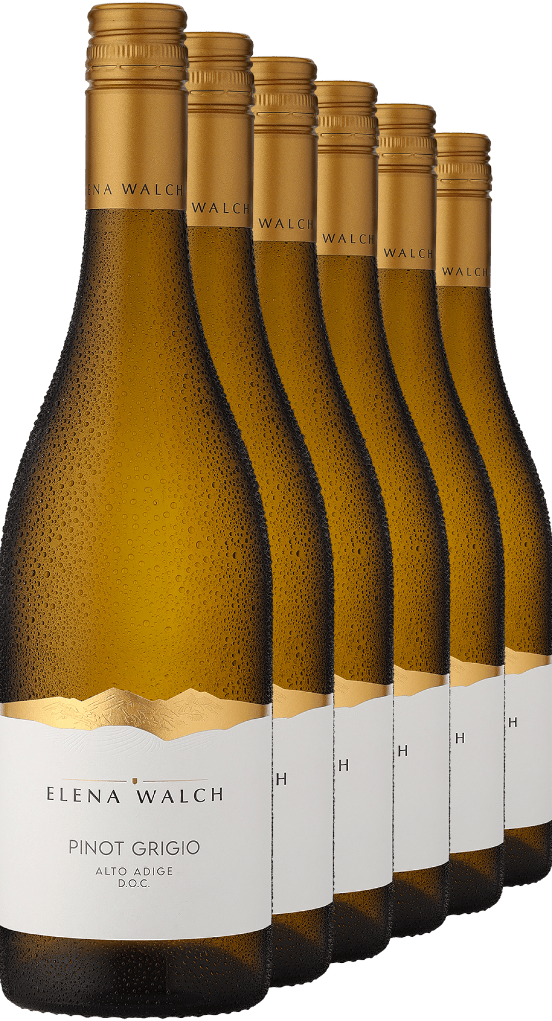 4002859988757 - 2024 Pinot Grigio im 6er-Vorratspaket