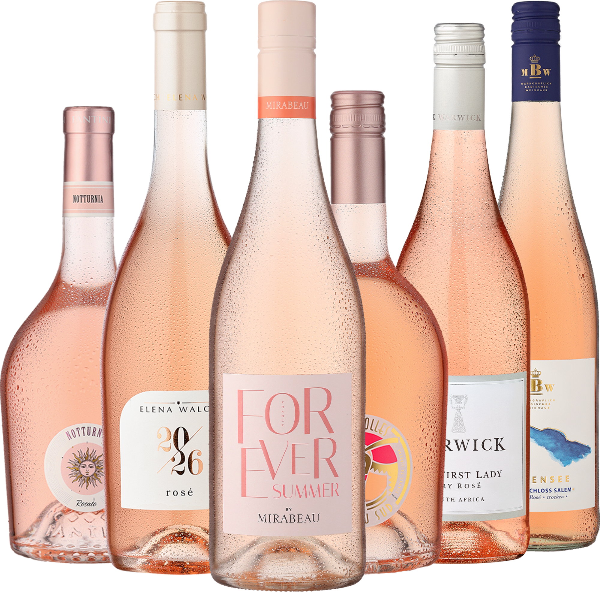 6er-Probierpaket »Premium Roséweine«