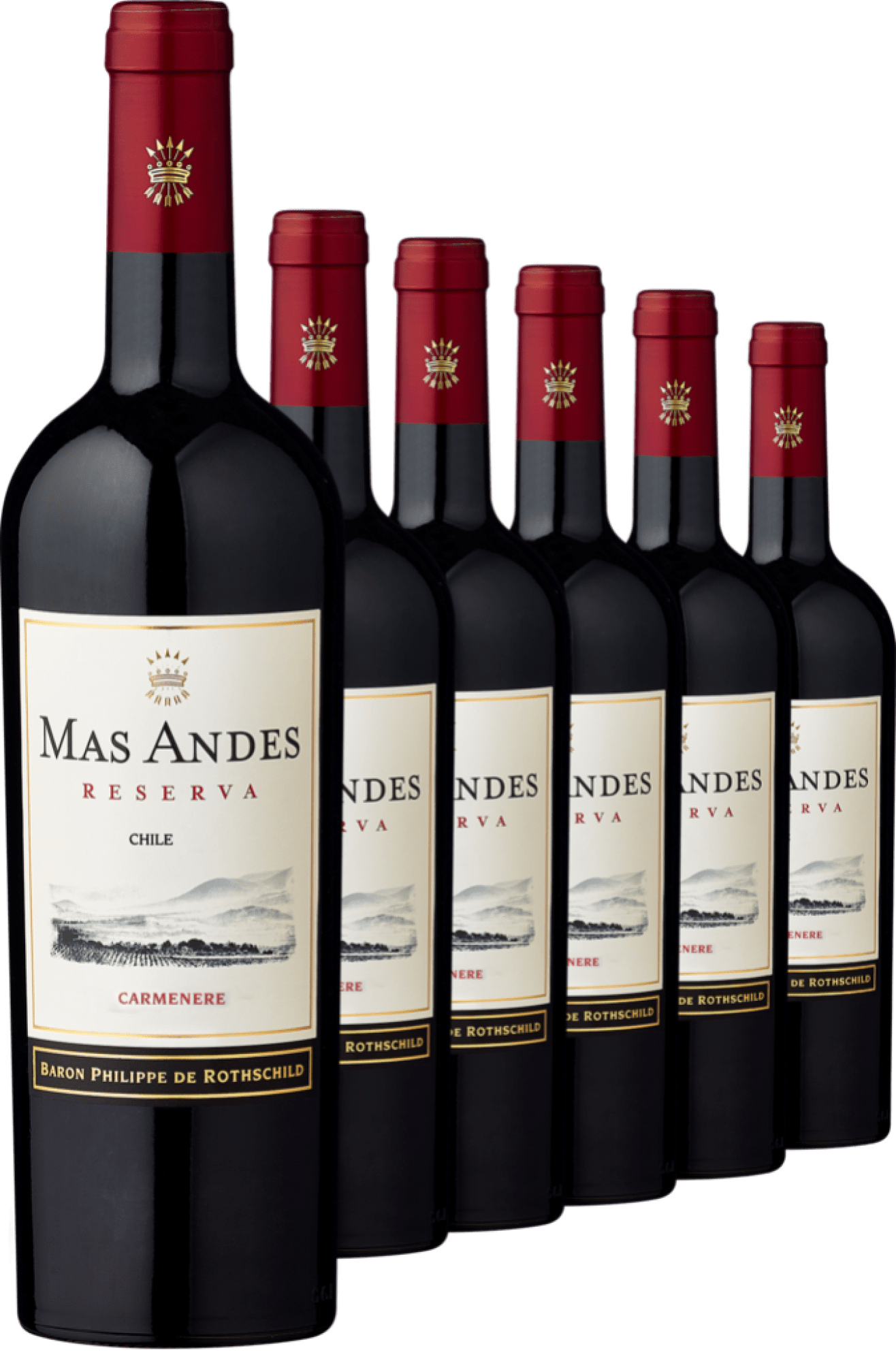 6er-Vorratspaket Rothschild Mas Andes Reserva Carménère Chile + GRATIS Kellnermesser  Club of Wine DE