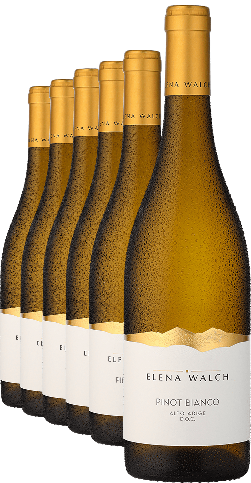 2025 Elena Walch Pinot Bianco im 6er-Vorratspaket