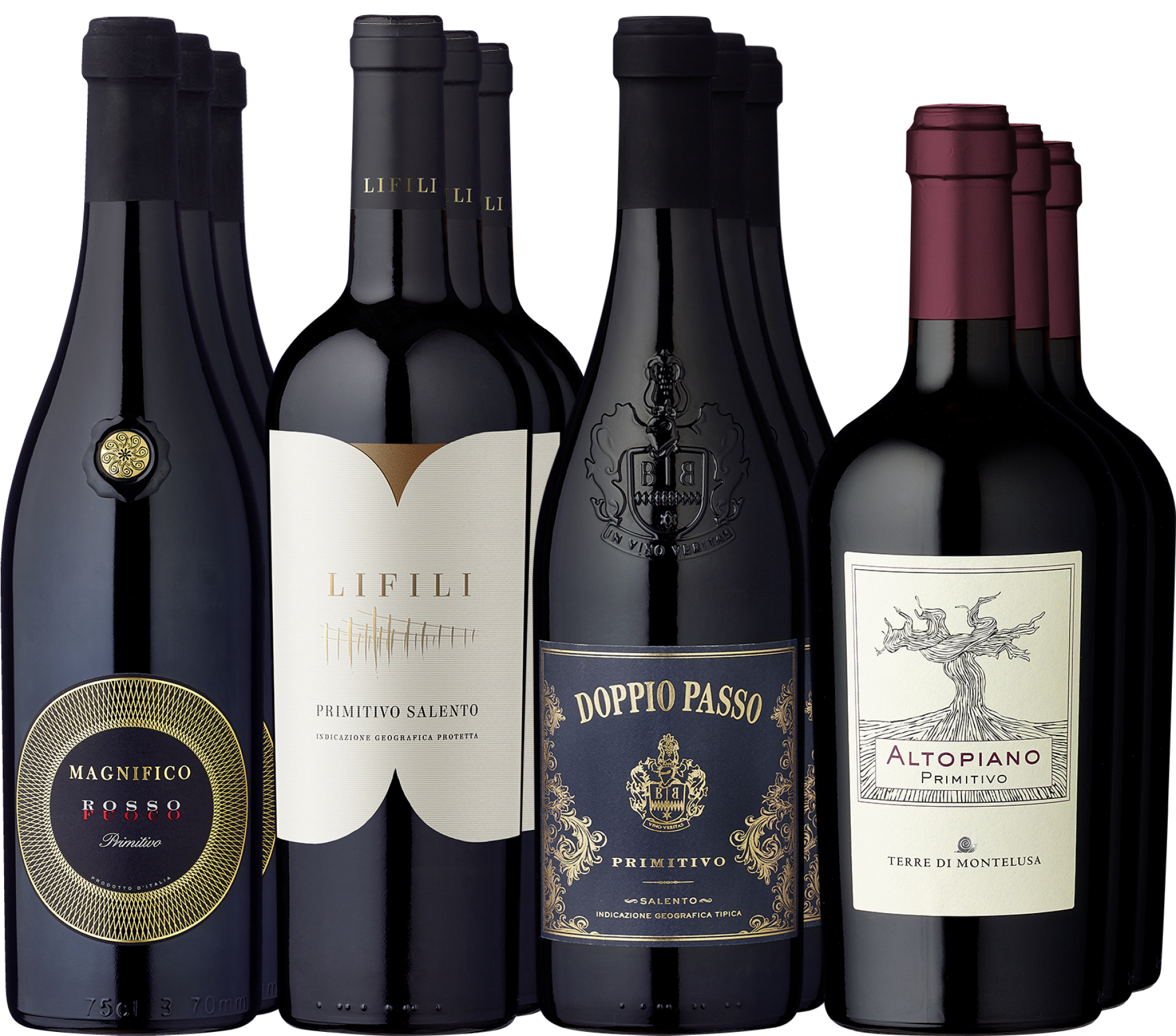 12er-Probierpaket »Hochprämierte Primitivo-Klassiker«  Ludwig von Kapff DE