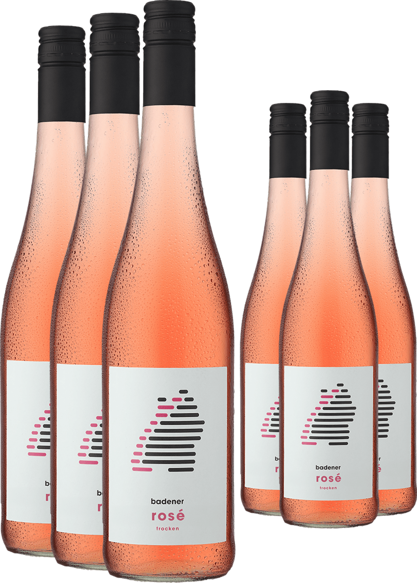 3+3-PAKET badener Rosé 2024