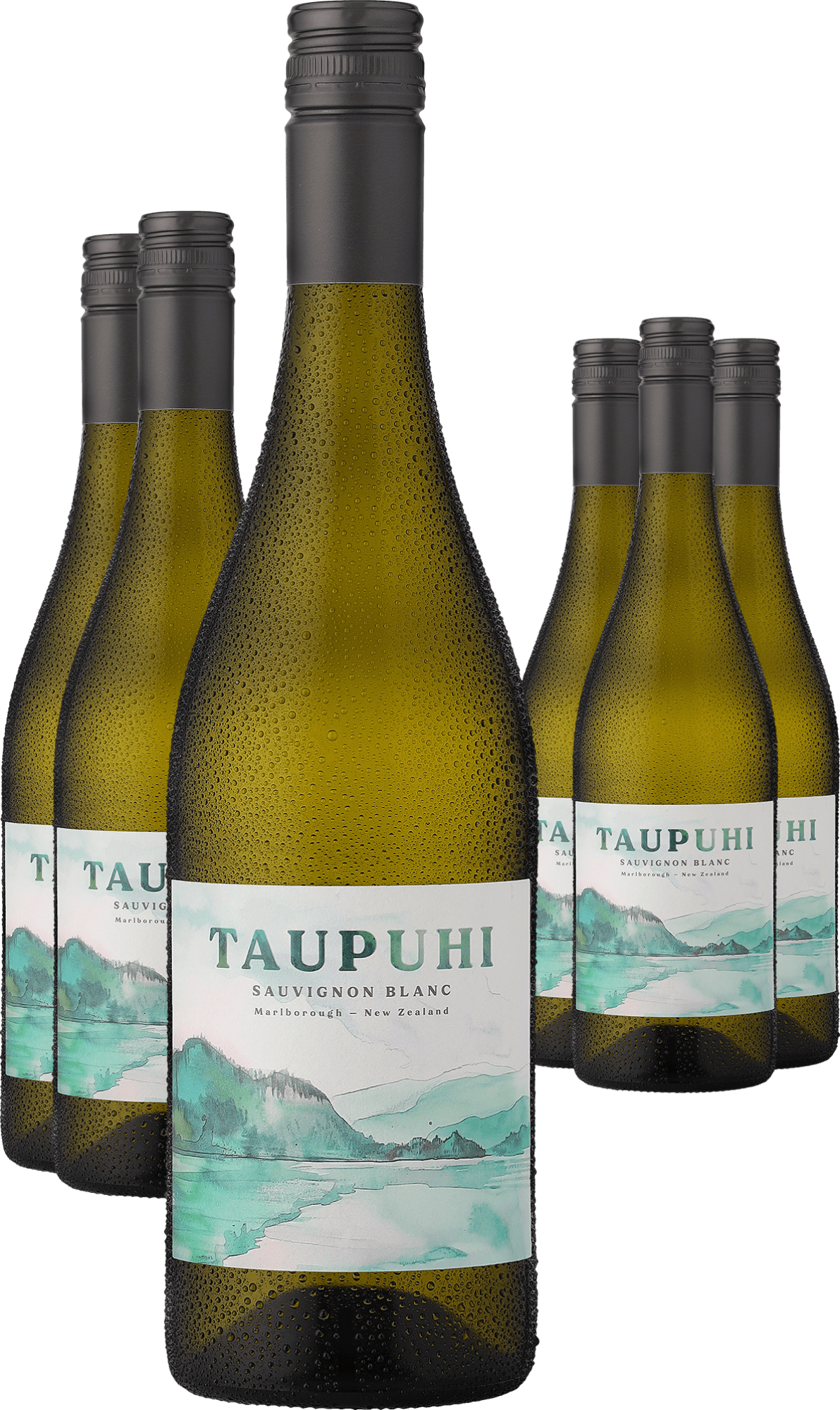 Image of 3+3-PAKET »Taupuhi« Sauvignon Blanc 2023