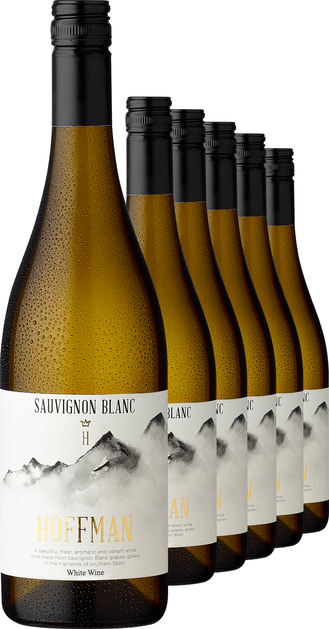 2023 Alceño Hoffman Sauvignon Blanc im 6er-Vorratspaket Bodegas Alceño Ludwig von Kapff DE