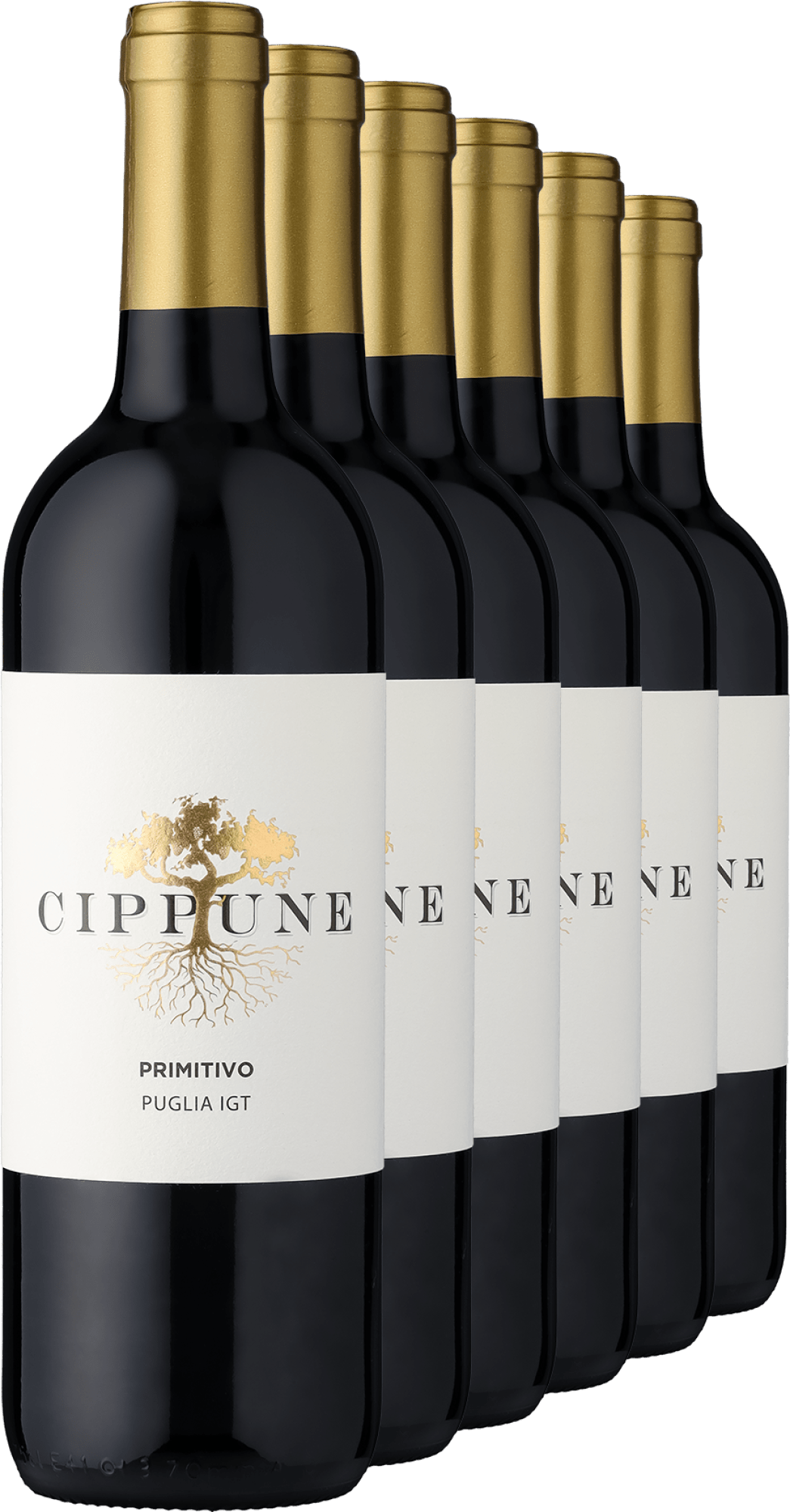 4002859994161 - 2023 Cippune Primitivo im 6er-Vorratspaket