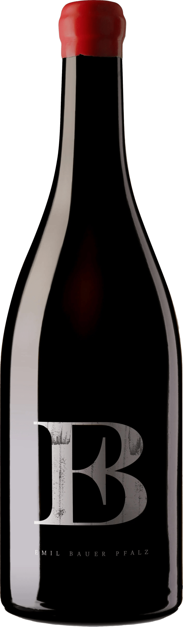 4260213811329 - 2017 Emil Bauer Servator Selektionswein trocken