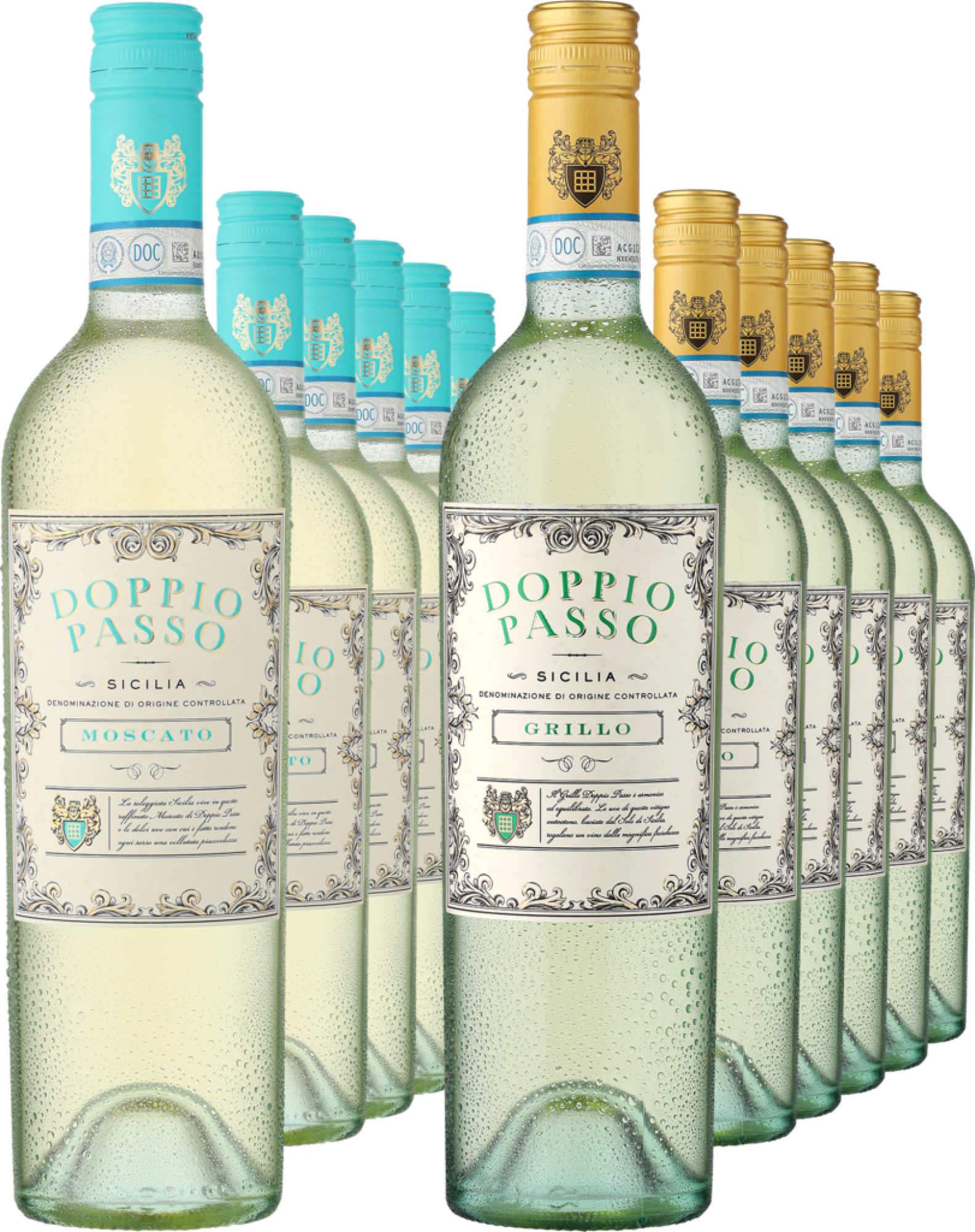 12er-PAKET »Gemischtes Doppel: Doppio Passo Bianco«  Club of Wine DE