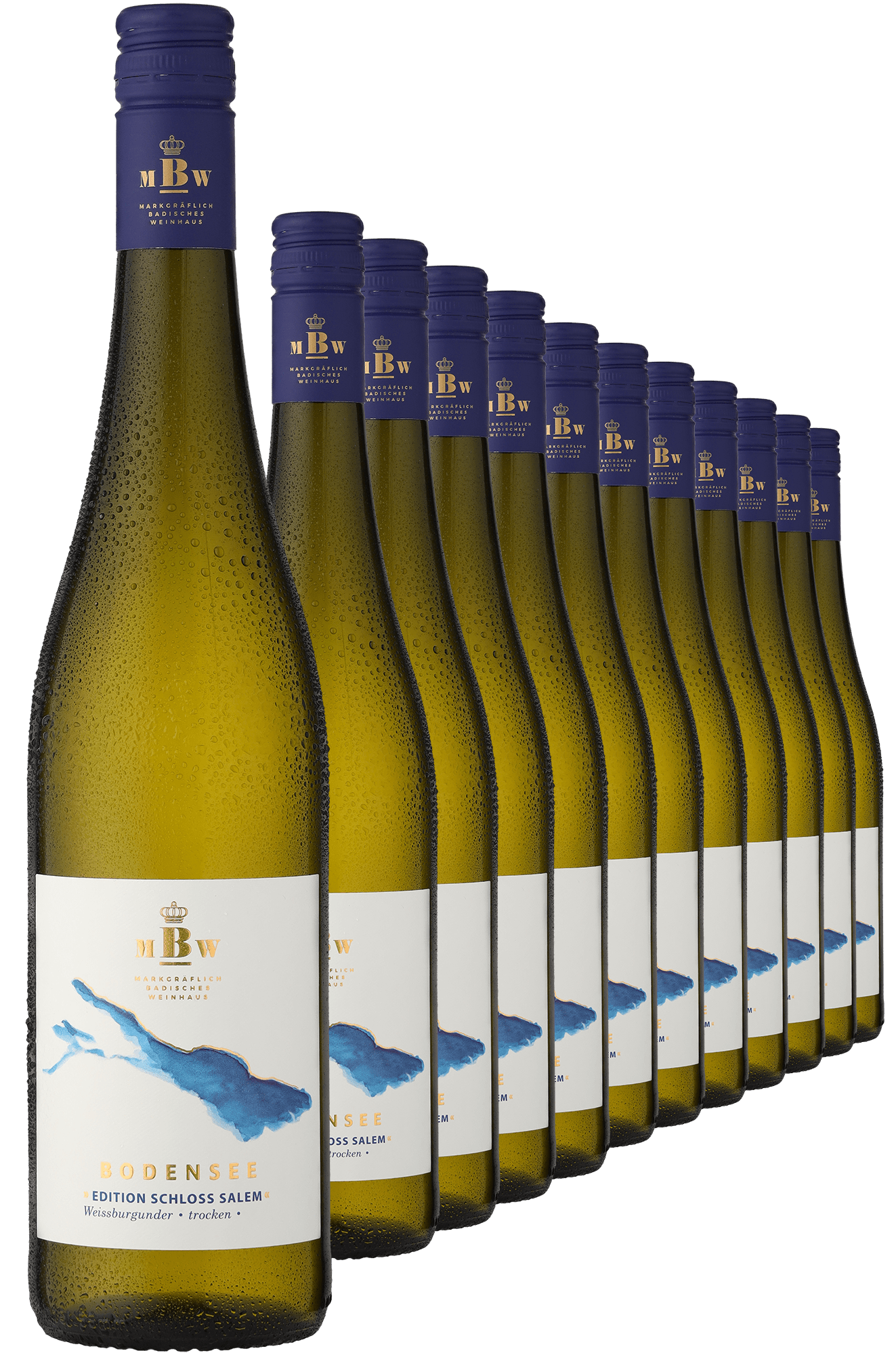 2023 Markgräflich Badisches Weinhaus Bodensee »Edition Schloss Salem« Weißburgunder im 12er-Vorratspaket  Club of Wine DE