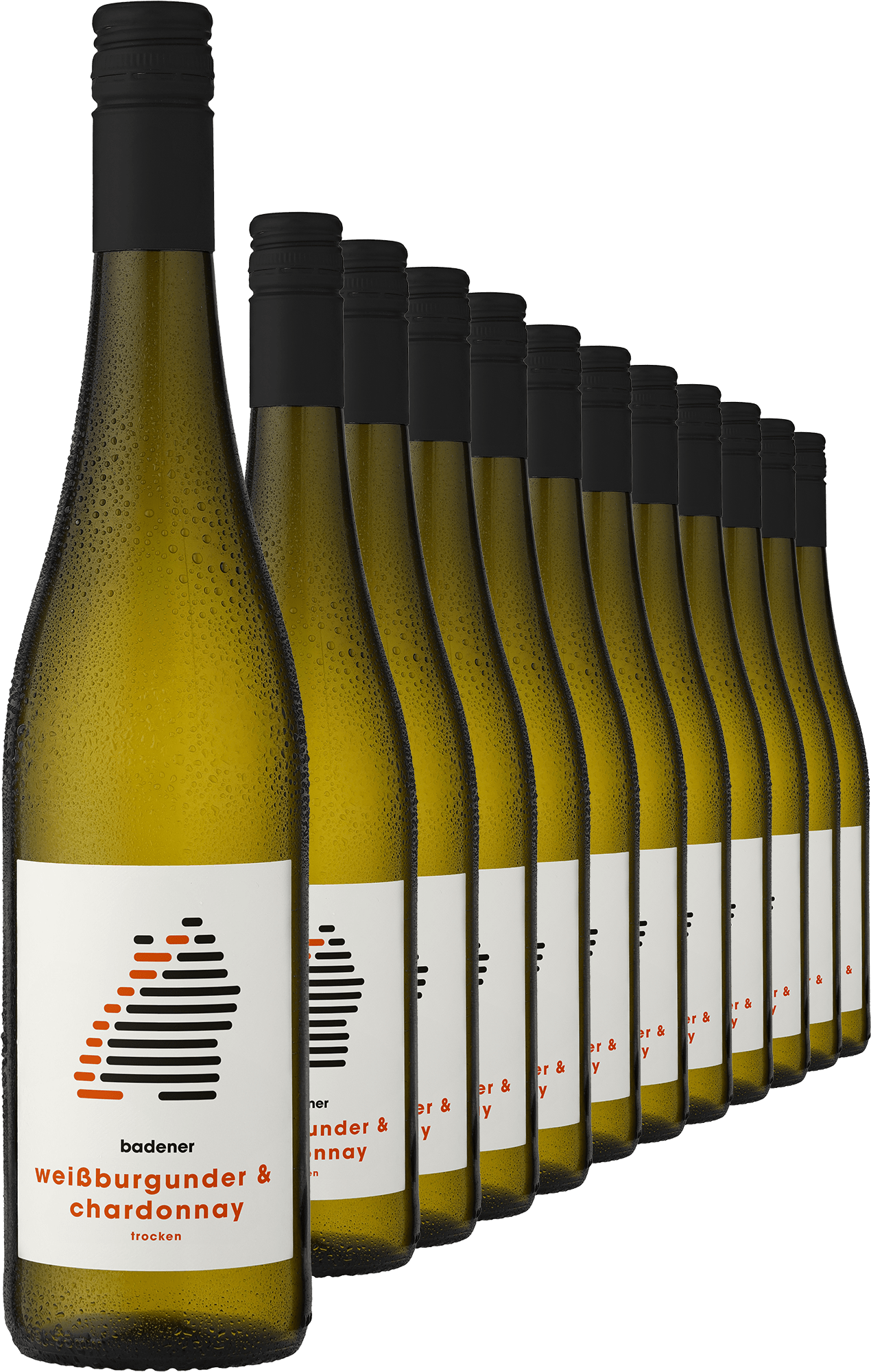 2024 badener Weißburgunder & Chardonnay im 12er-Vorratspaket