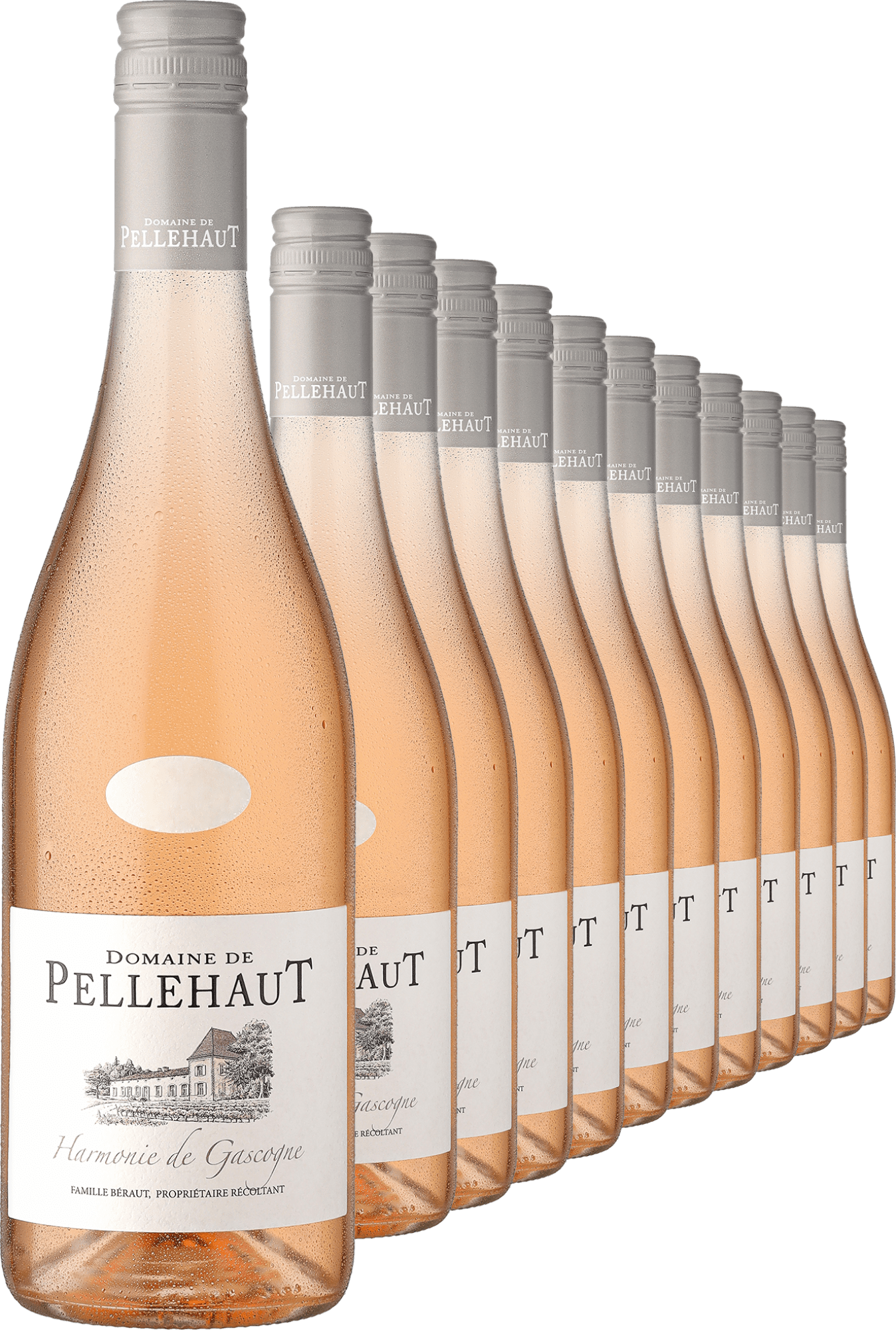 4002859986319 - 2024 Domaine de Pellehaut »Harmonie de Gascogne« Rosé im 12er-Vorratspaket 4002859986319 - 2024 Domaine de Pellehaut »Harmonie de Gascogne« Rosé im 12er-Vorratspaket