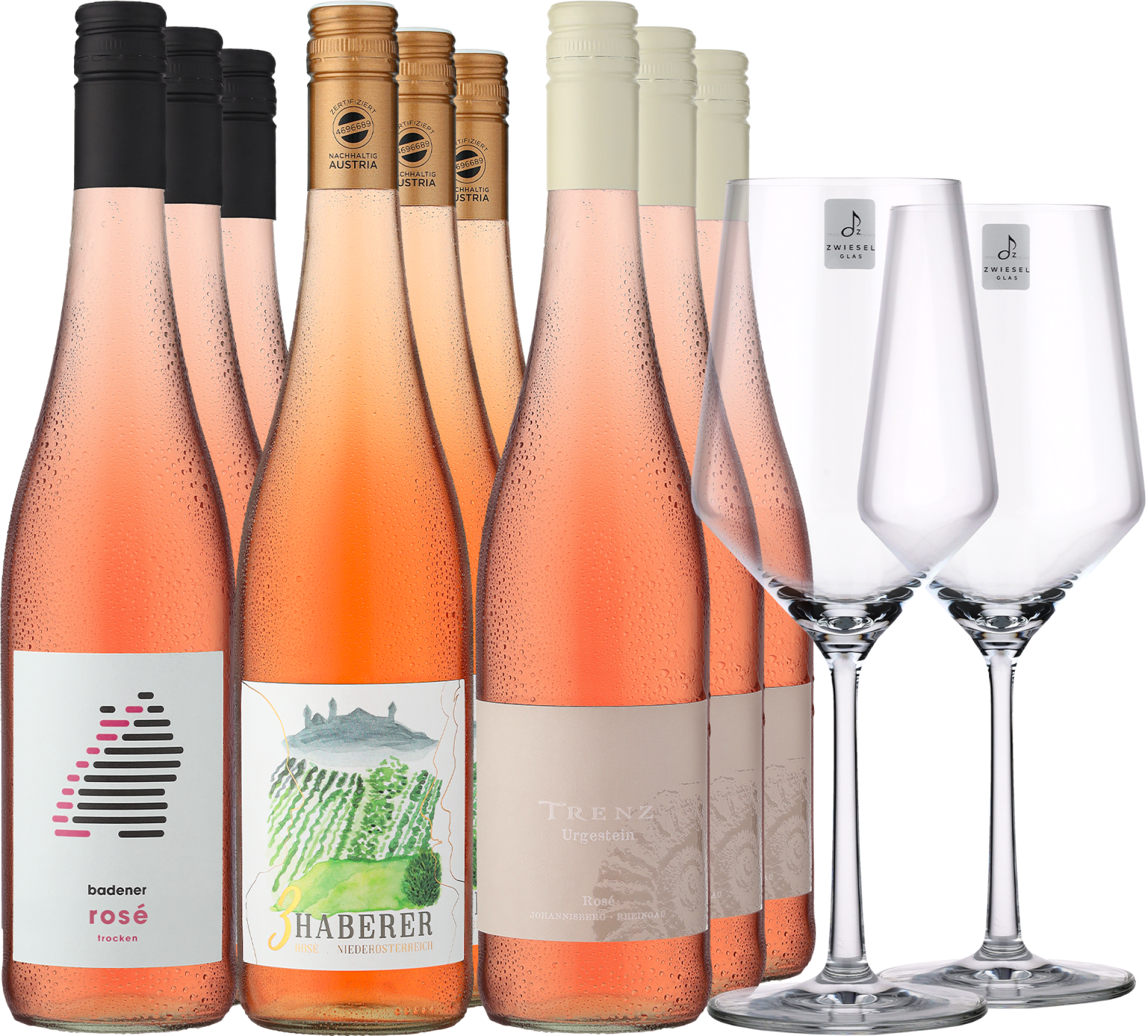 4002859995731 - 6er-Probierpaket »Best of Rosé« 4002859995731 - 6er-Probierpaket »Best of Rosé«