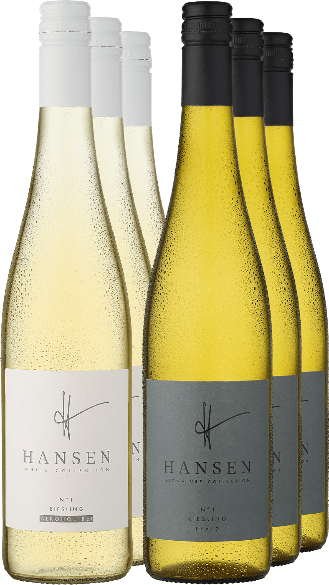 6er-Probierpaket »HANSEN Riesling-Duo«