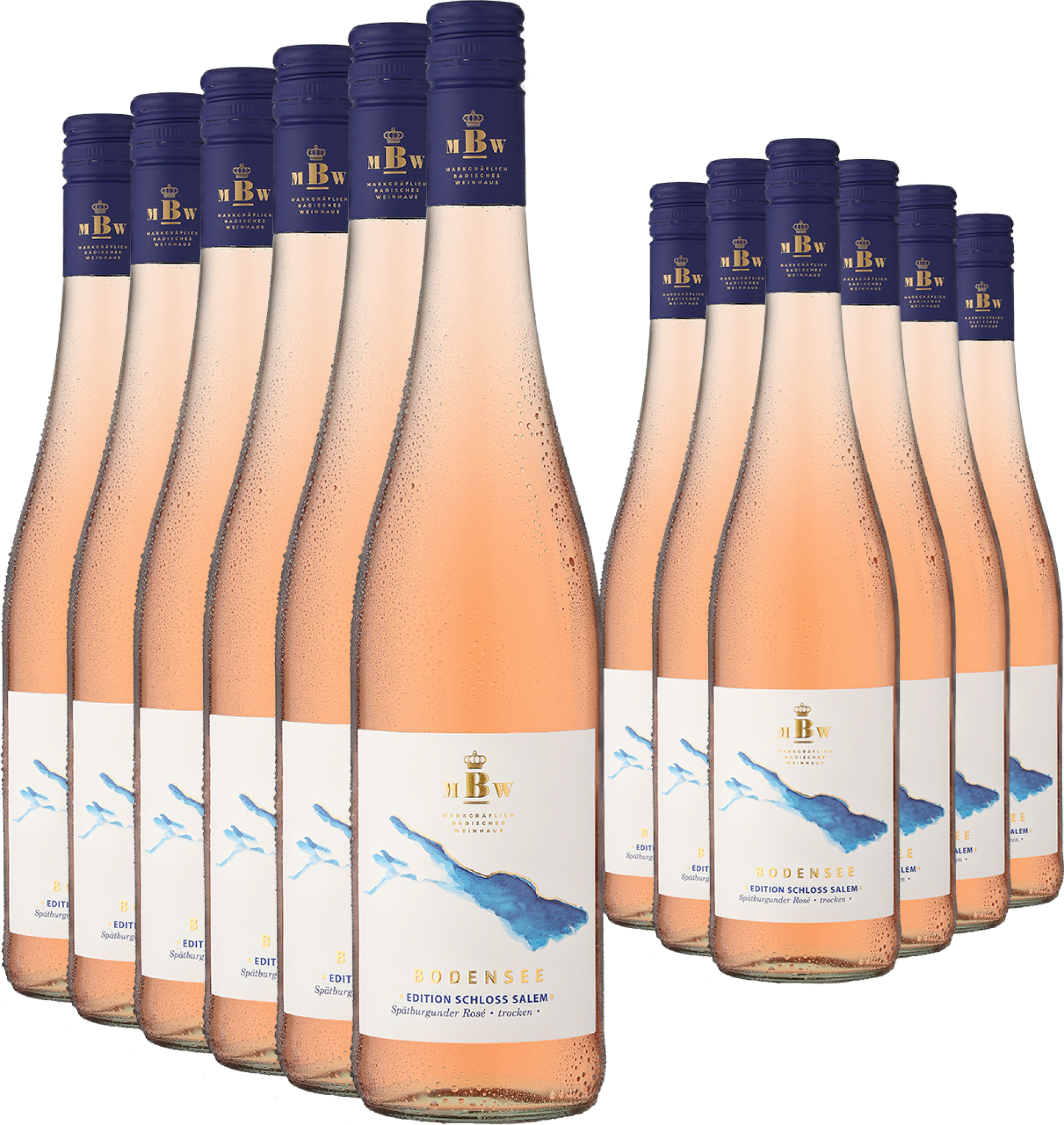 6+6-PAKET Markgräflich Badisches Weinhaus Bodensee »Edition Schloss Salem« Rosé 2025