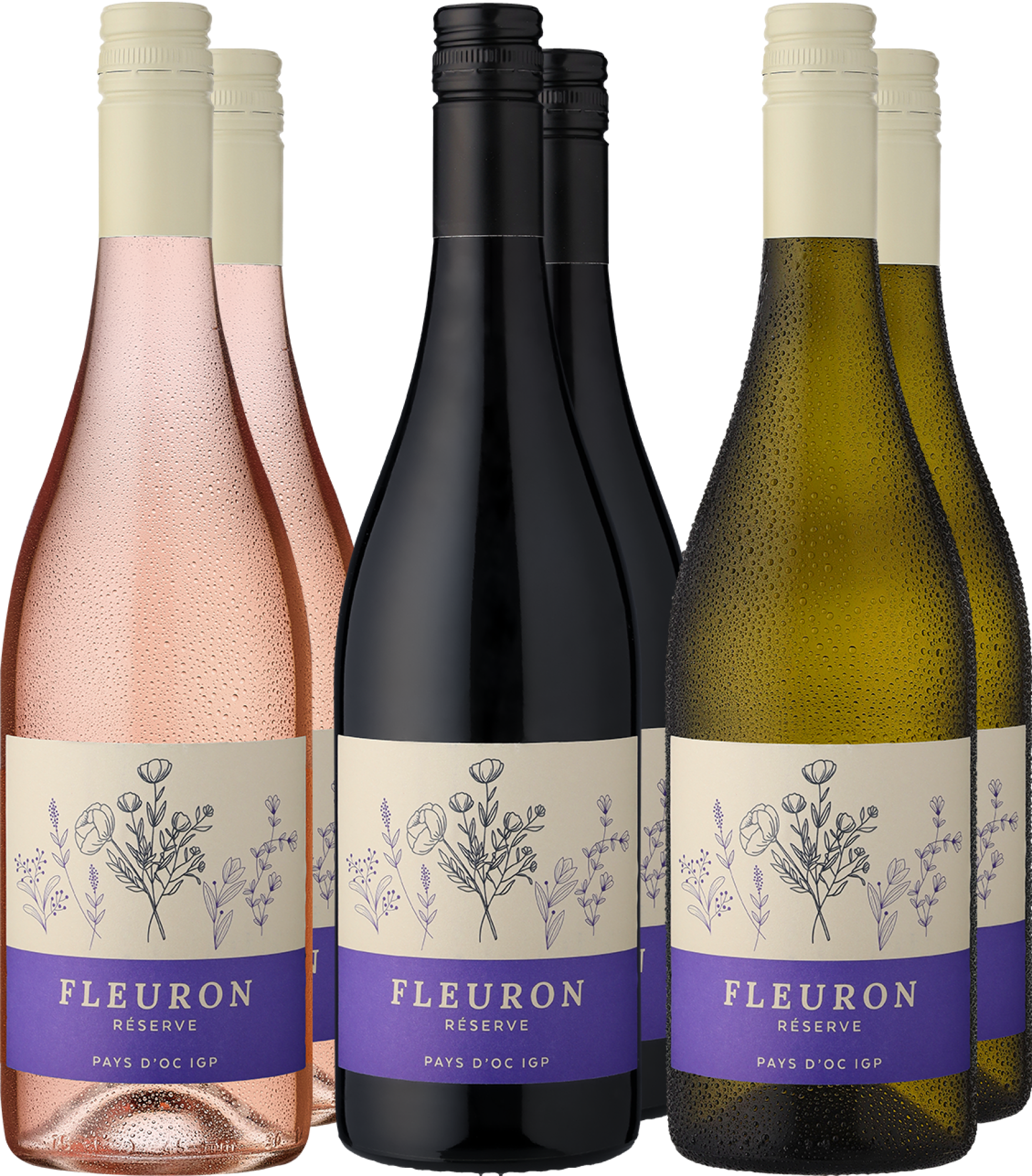 4002859996363 - 6er-Probierpaket »Fleuron-Entdecker« 4002859996363 - 6er-Probierpaket »Fleuron-Entdecker«