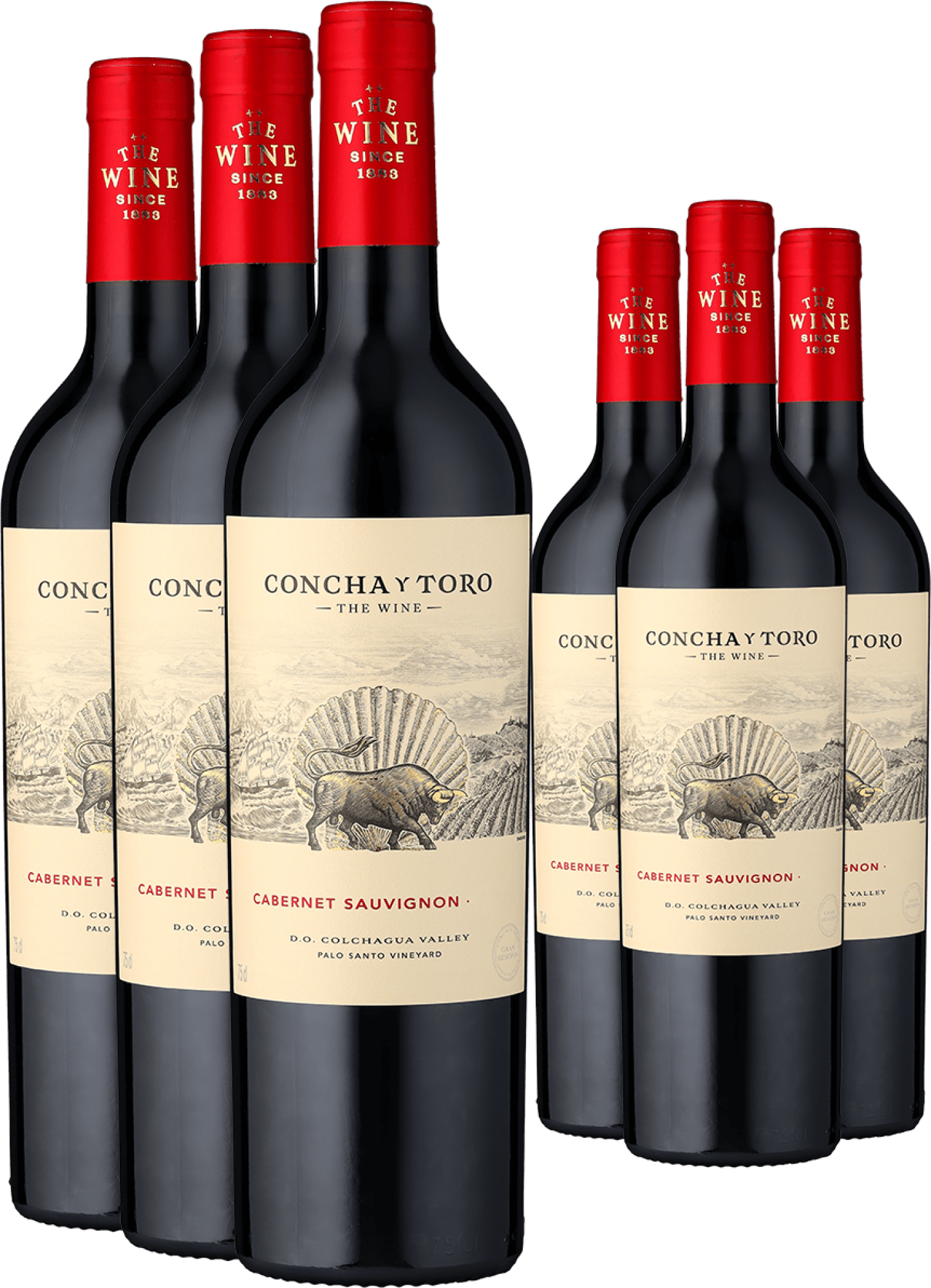 3+3-PAKET Concha y Toro »The Wine« Cabernet Sauvignon 2022
