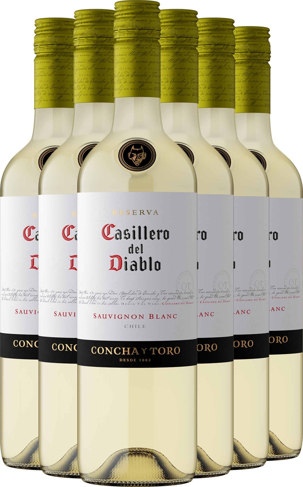2025 Casillero del Diablo Reserva Sauvignon Blanc im 6er-Vorratspaket
