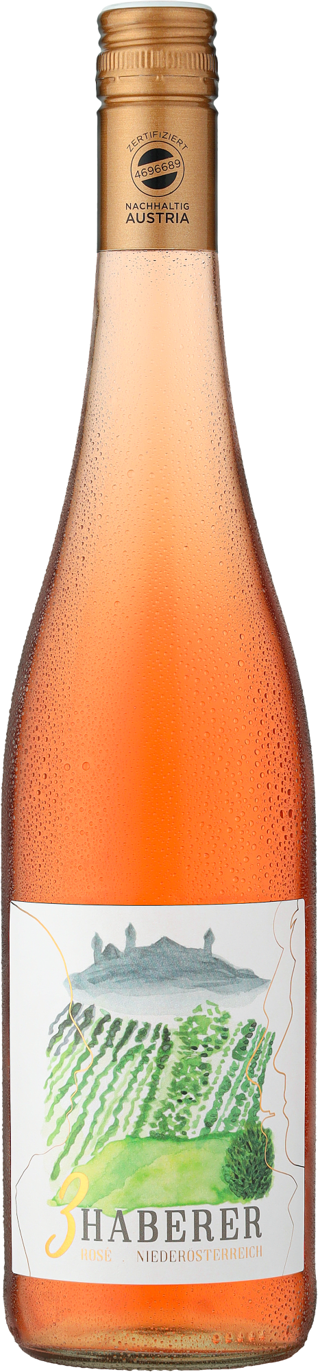 9120020002936 - 2020 »3 Haberer« Rosé Qualitätswein 9120020002936 - 2020 »3 Haberer« Rosé Qualitätswein