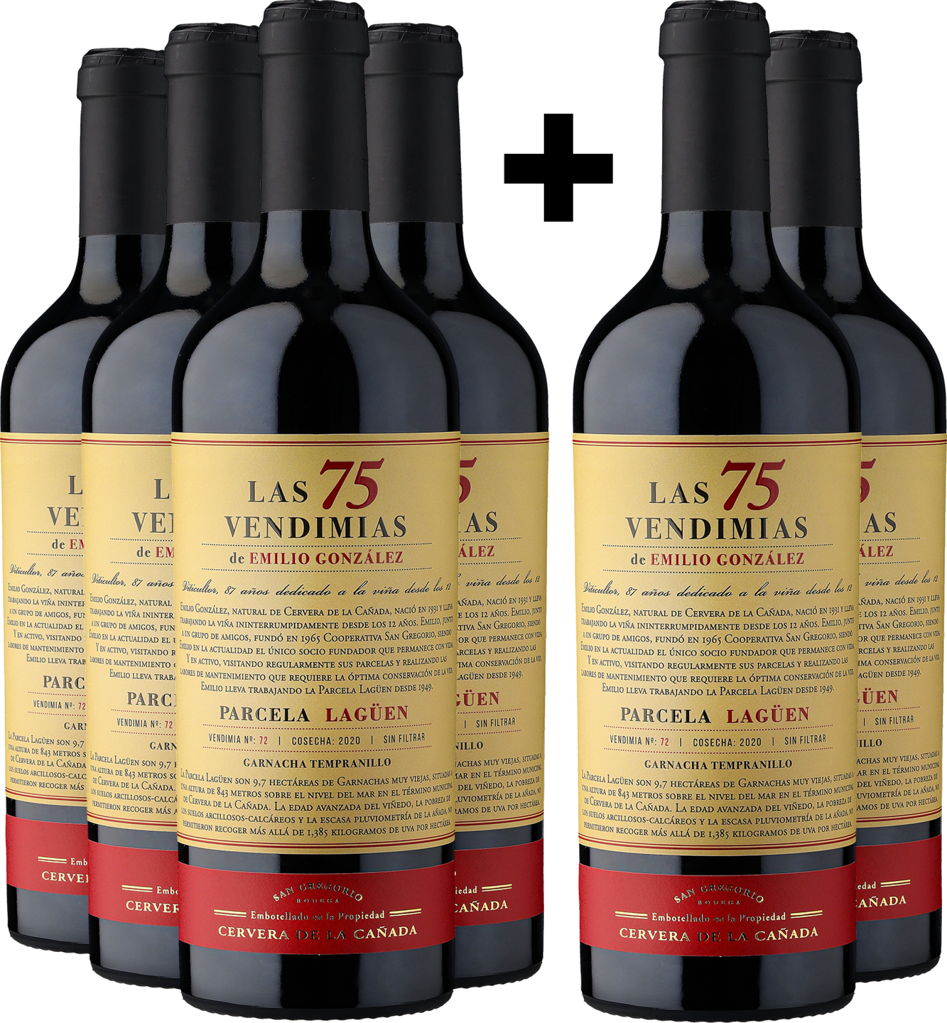 4+2-PAKET Bodega San Gregorio »Las 75 Vendimias de Emilio González« 2020