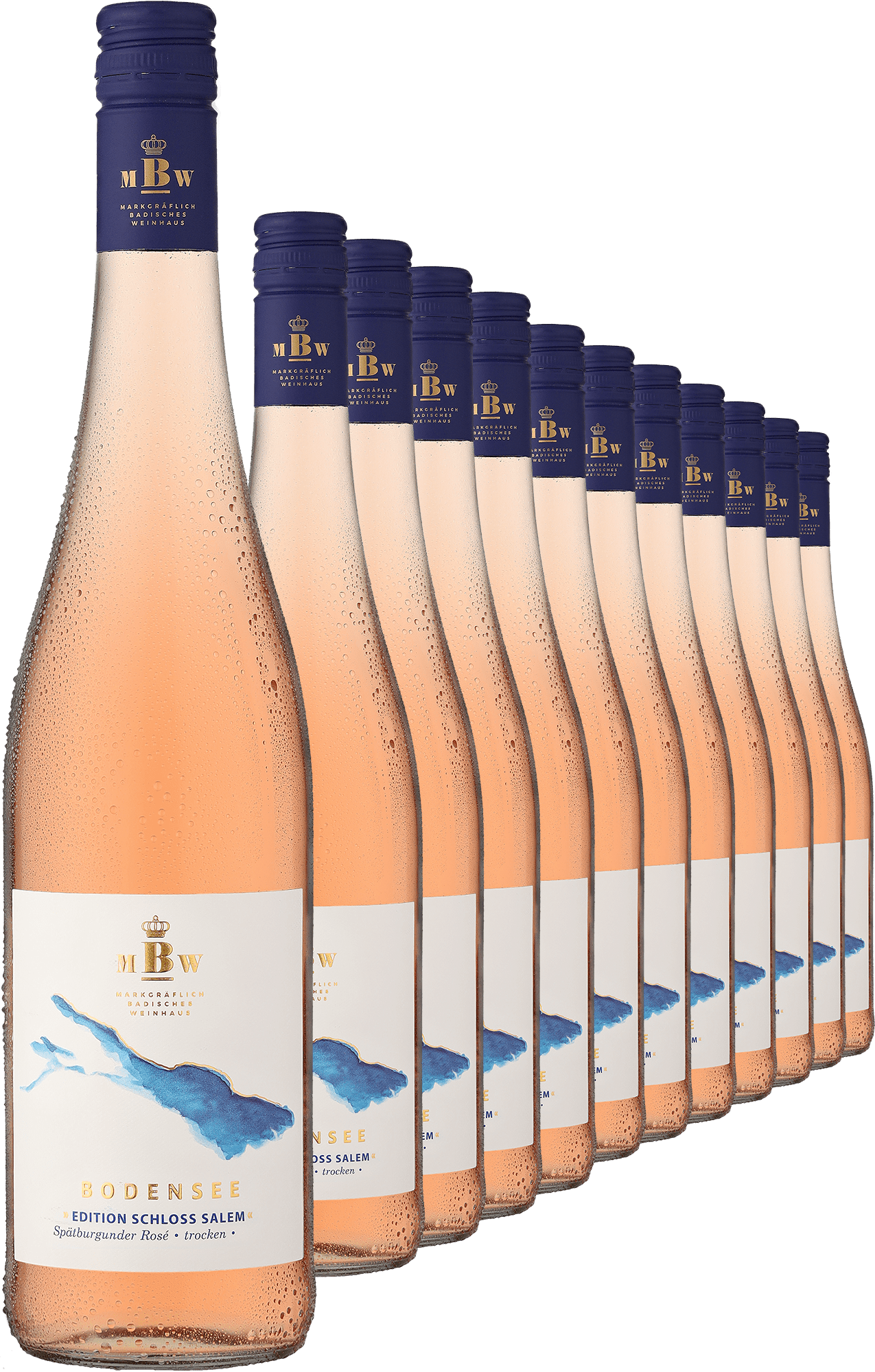 2023 Markgräflich Badisches Weinhaus Bodensee »Edition Schloss Salem« Rosé im 12er-Vorratspaket  Club of Wine DE