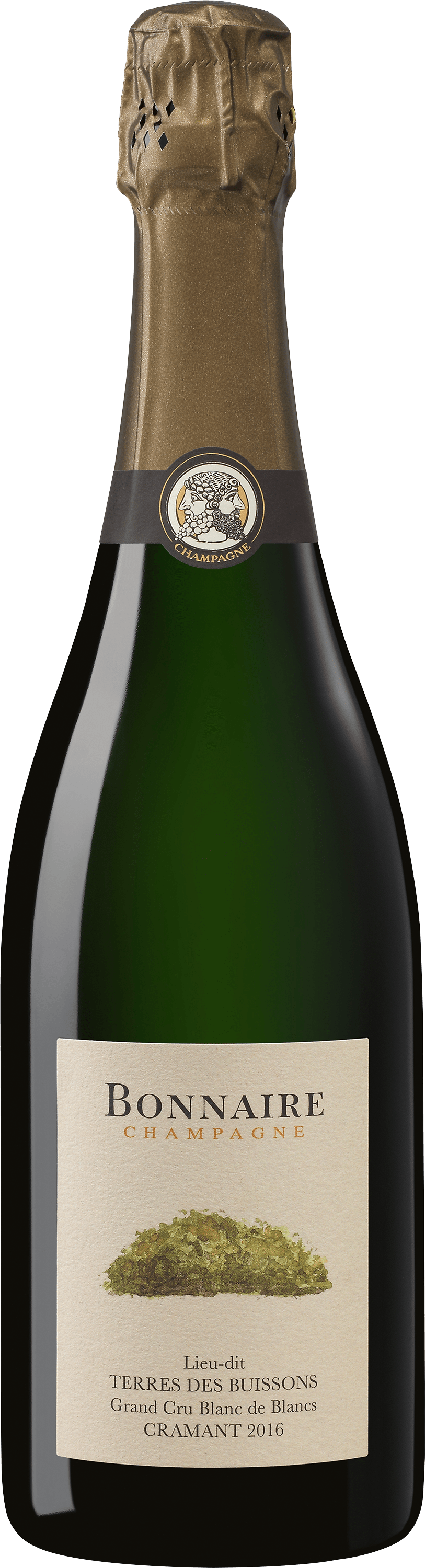 Image of 2016 Bonnaire Champagner »Terres des Buissons«
