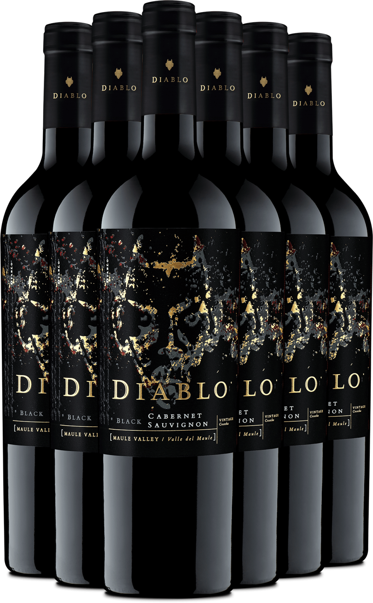 2023 Concha y Toro »Diablo« Black im 6er-Vorratspaket