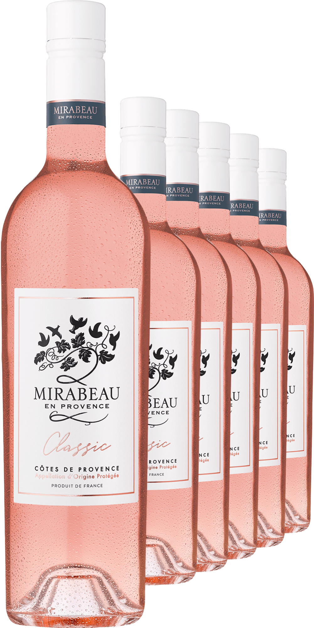 4002859988108 - 2023 »Classic« Rosé im 6er-Vorratspaket 4002859988108 - 2023 »Classic« Rosé im 6er-Vorratspaket