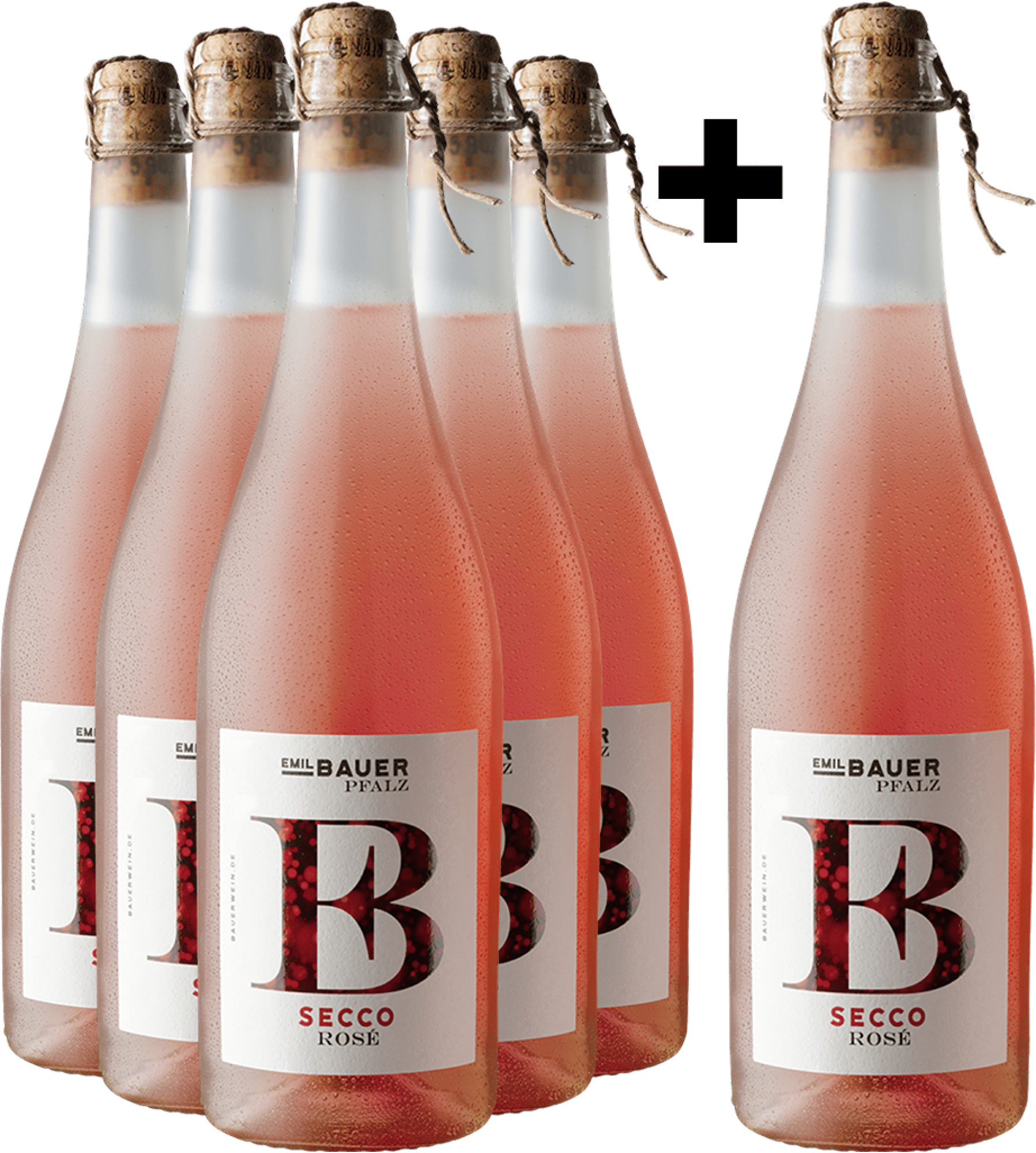 5+1-PAKET Emil Bauer Secco Rosé