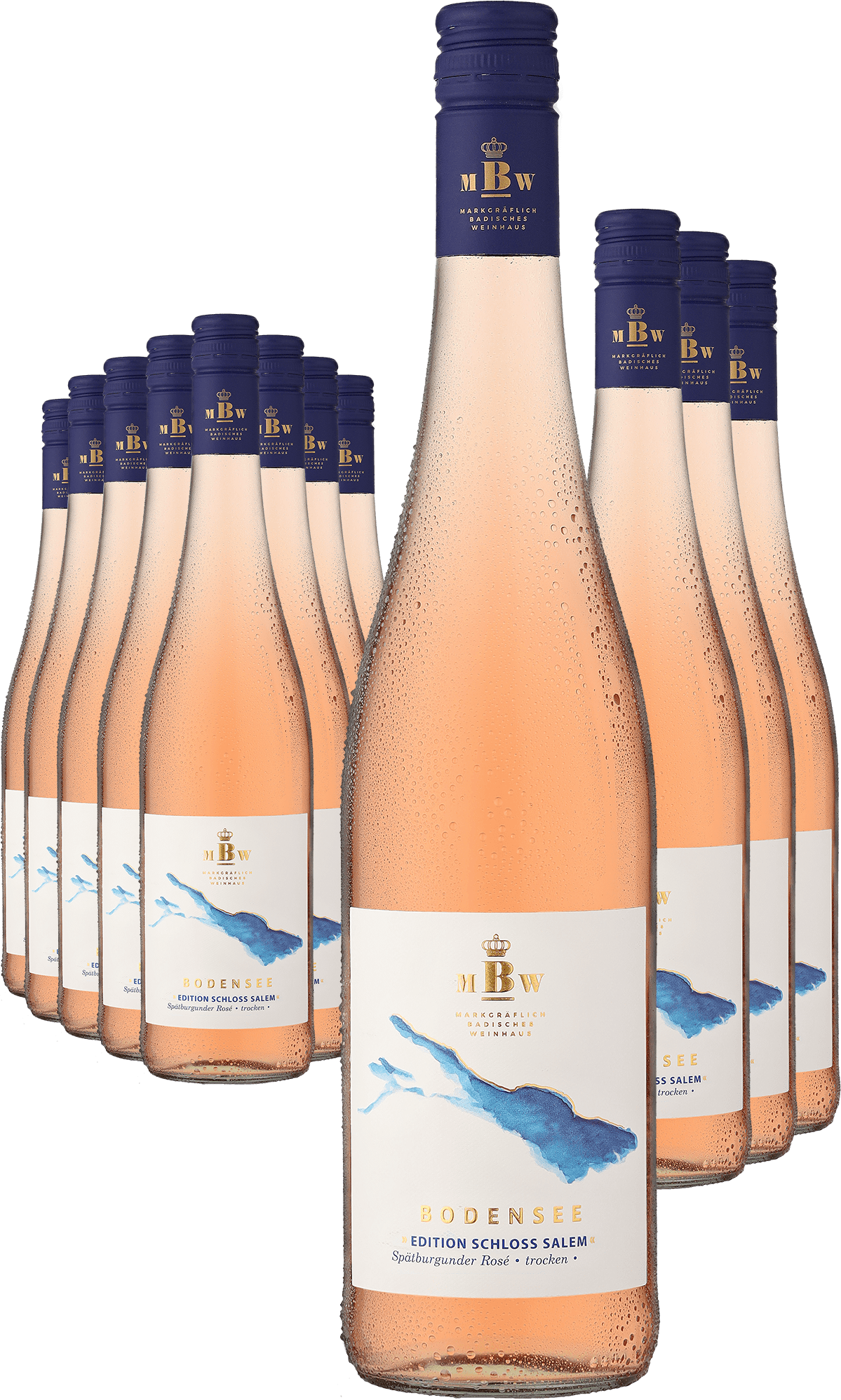 6+6-PAKET Markgräflich Badisches Weinhaus Bodensee »Edition Schloss Salem« Rosé 2023 Markgräflich Badisches Weinhaus Ludwig von Kapff DE