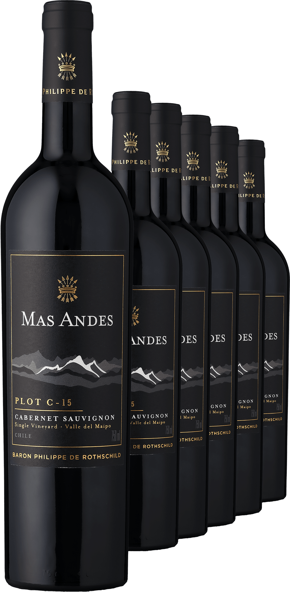 4002859994215 - 2022 Rothschild Mas Andes PLOT C-15 Cabernet Sauvignon im 6er-Vorratspaket 4002859994215 - 2022 Rothschild Mas Andes PLOT C-15 Cabernet Sauvignon im 6er-Vorratspaket