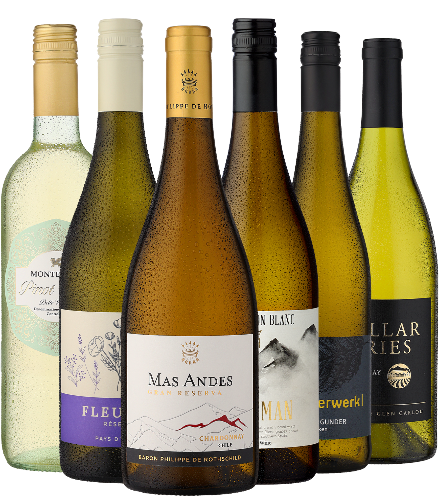 4002859997209 - 6er-Probierpaket »Weißwein-Favoriten« 4002859997209 - 6er-Probierpaket »Weißwein-Favoriten«