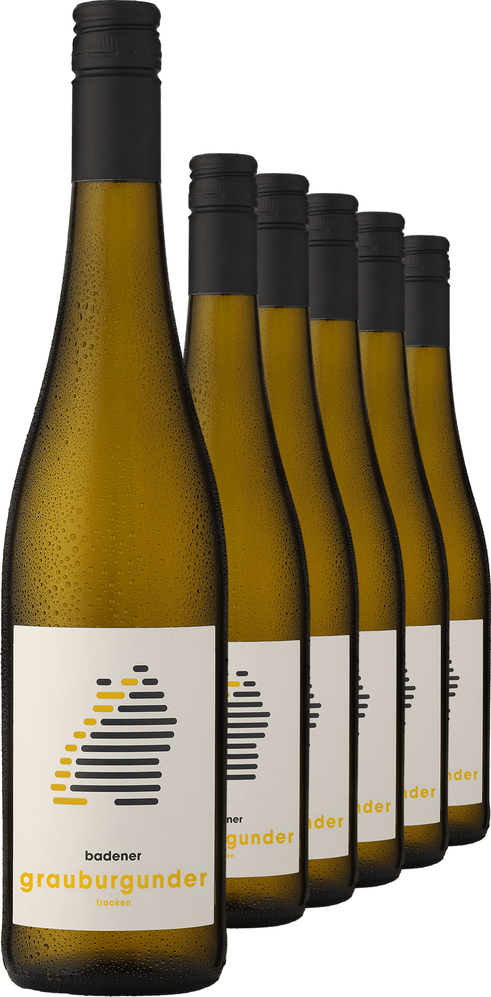 2023 badener Grauburgunder im 6er-Vorratspaket Markgräflich Badisches Weinhaus Ludwig von Kapff DE