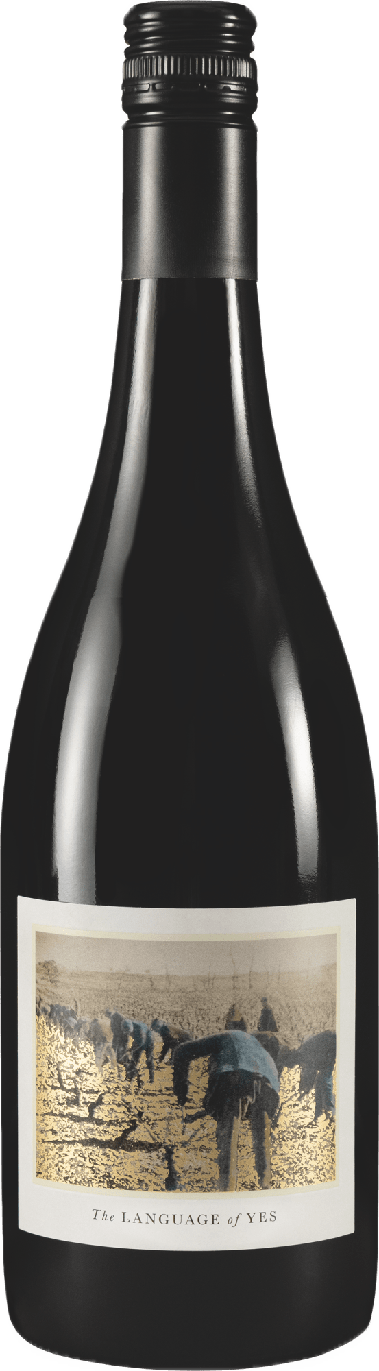 The Language of Yes Grenache