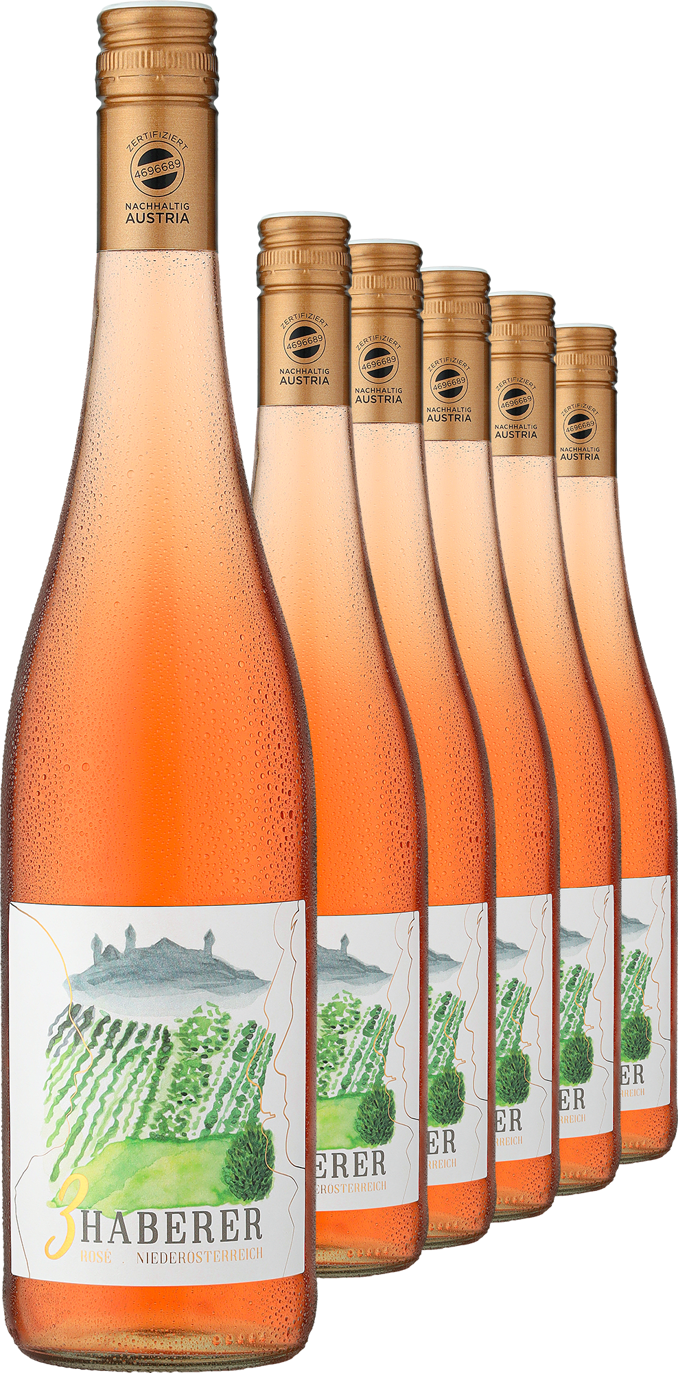 2024 »3 Haberer« Rosé im 6er-Vorratspaket - Müller 2024 »3 Haberer« Rosé im 6er-Vorratspaket - Müller