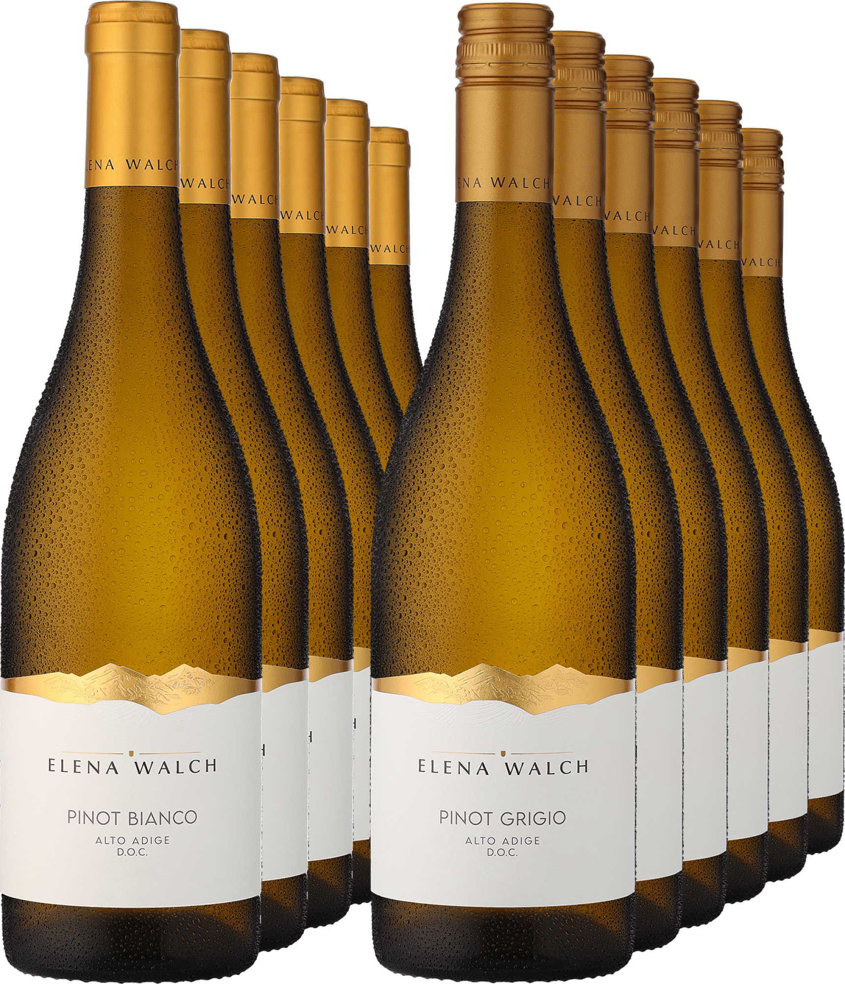 12er-PAKET »Gemischtes Doppel: Elena Walch«  Club of Wine DE