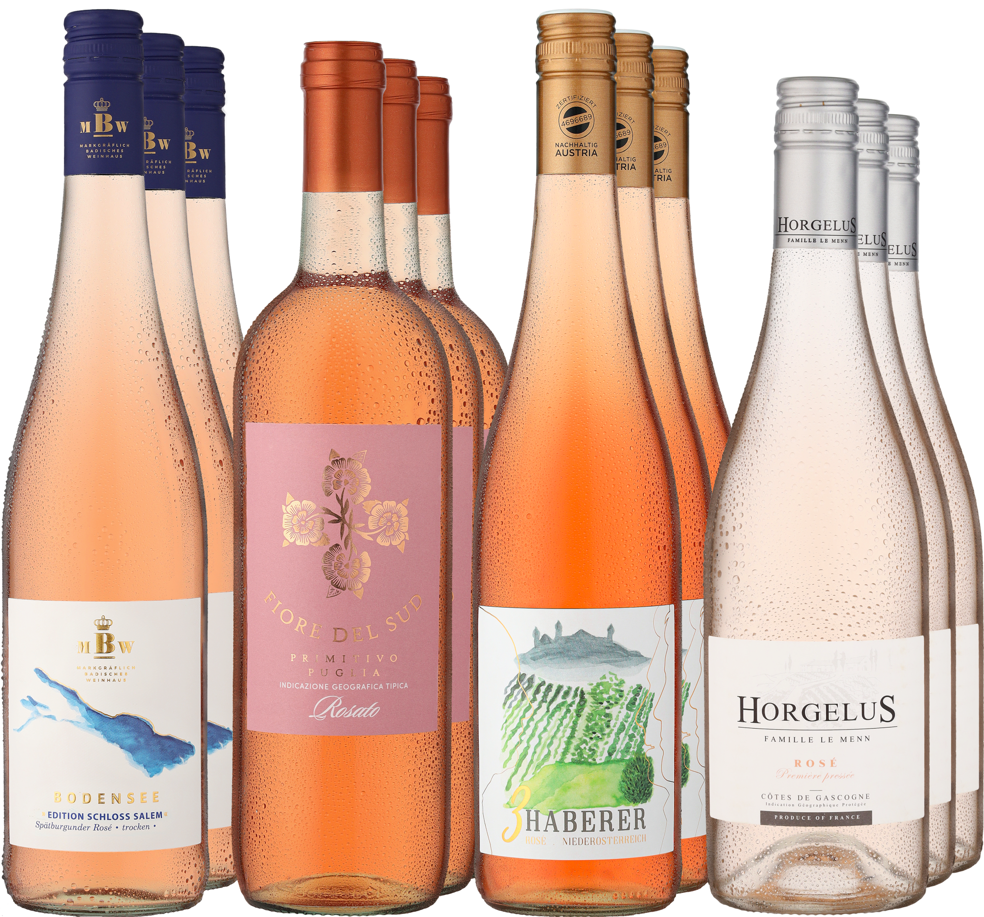 12er-Probierpaket »Der Sommer wird Rosé«