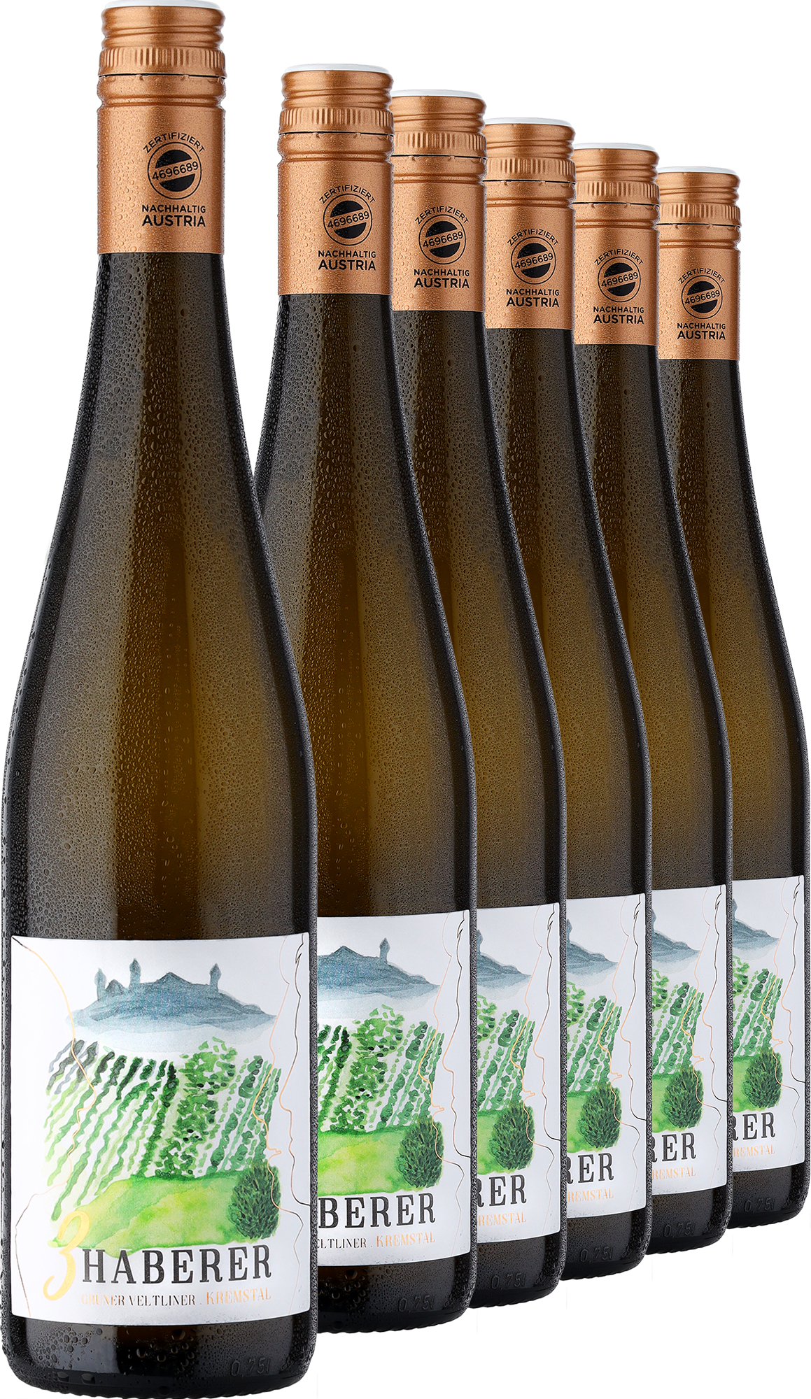 Image of 2023 Müller »3 Haberer« Grüner Veltliner im 6er-Vorratspaket