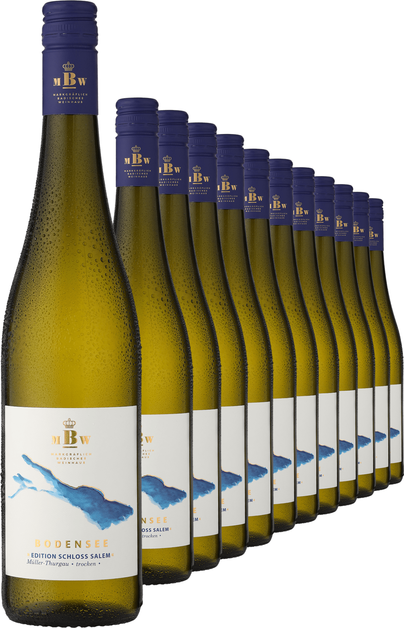 2022 Markgräflich Badisches Weinhaus Bodensee »Edition Schloss Salem« Müller-Thurgau im 12er-Vorratspaket - Markgräflich Badisches Weinhaus