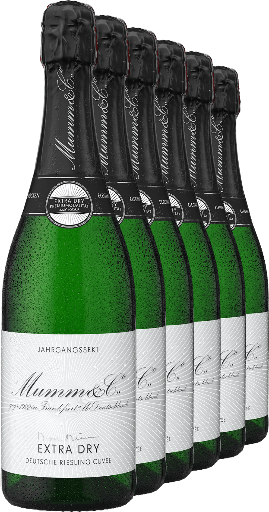 Mumm Nostalgie Edition Riesling Sekt im 6er-Vorratspaket