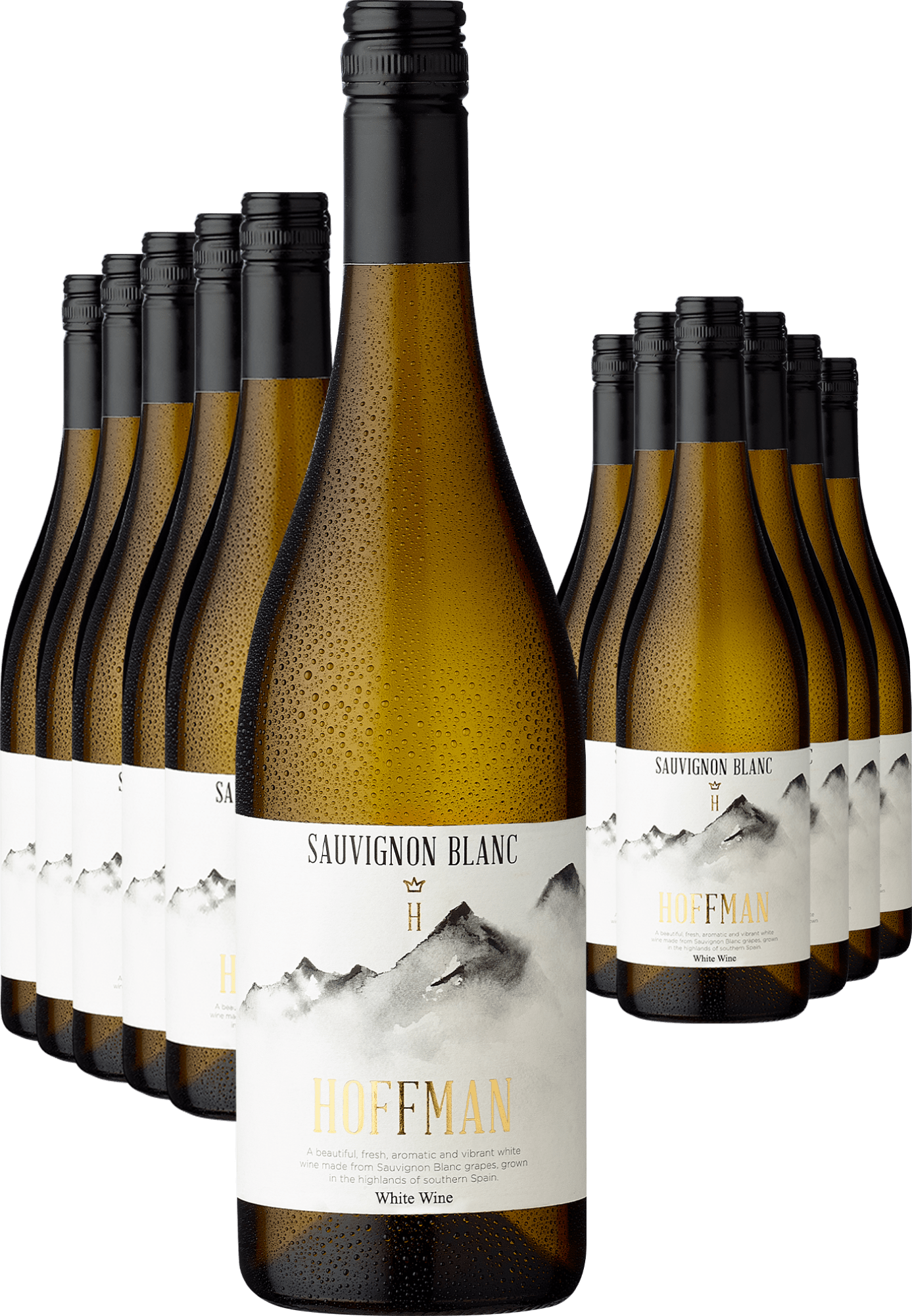 6+6-PAKET Alceño Hoffman Sauvignon Blanc 2024