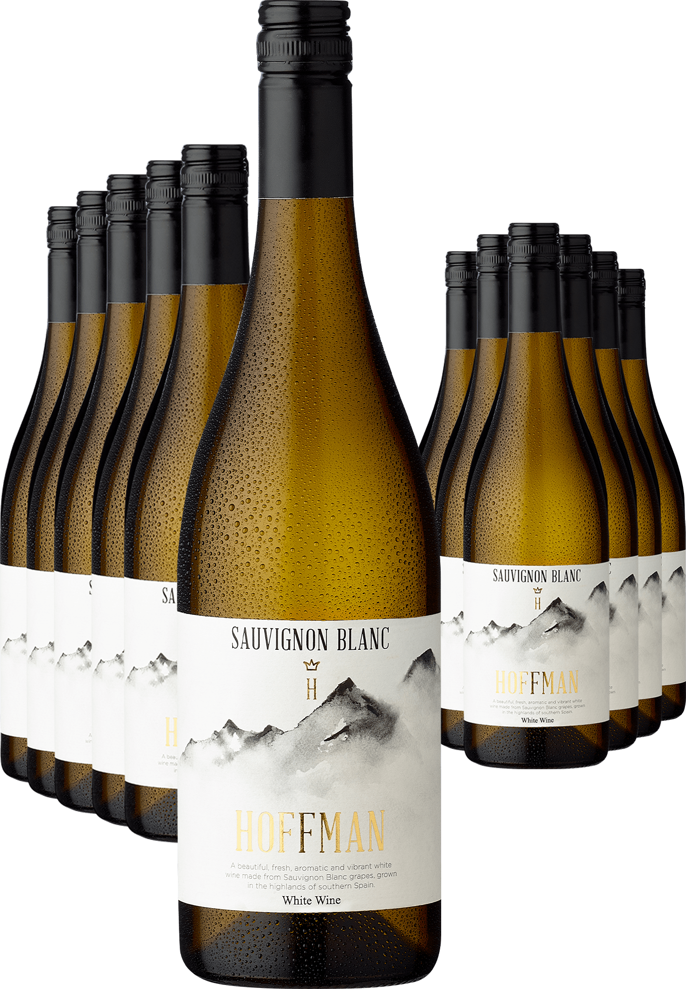 6+6-PAKET Alceño Hoffman Sauvignon Blanc 2023 Bodegas Alceño Ludwig von Kapff DE