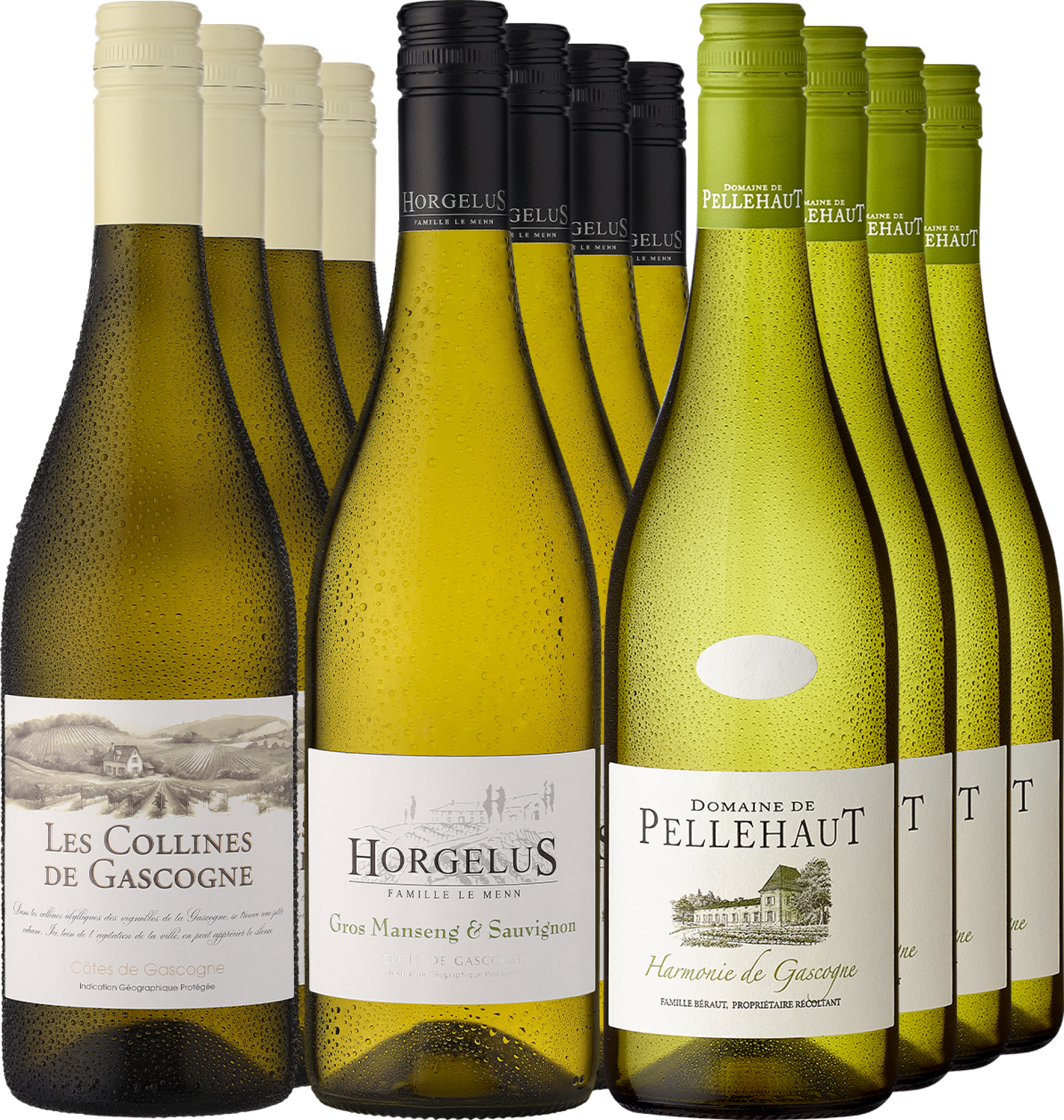 12er-Probierpaket »Lieblinge aus der Gascogne«