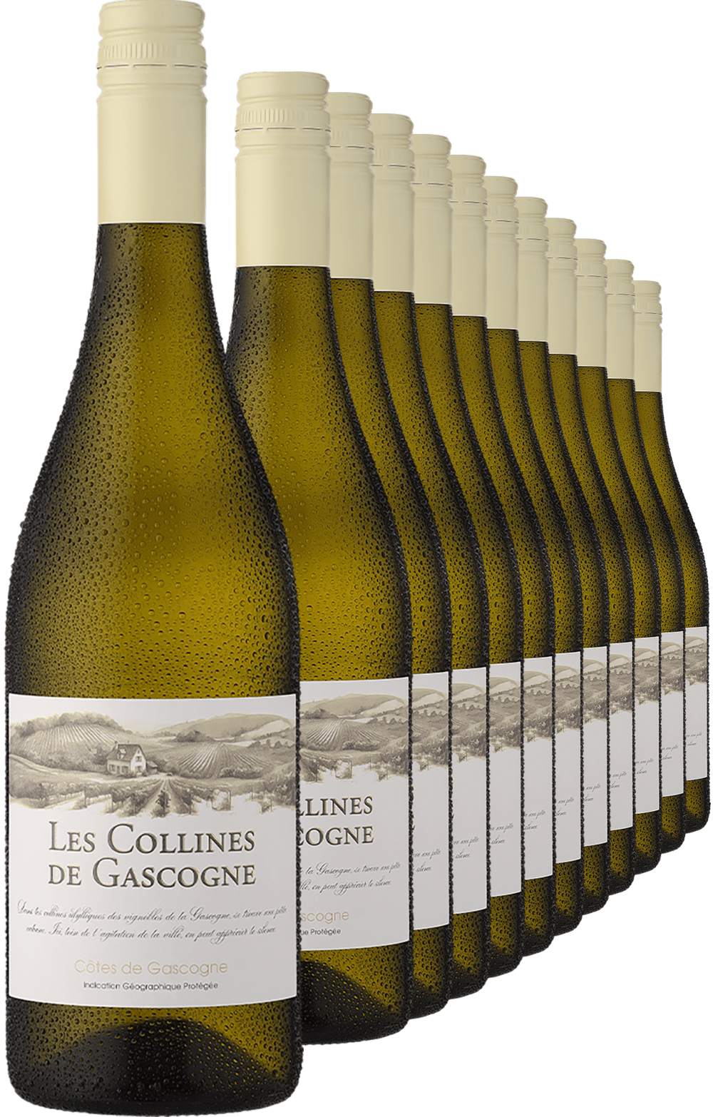 2024 »Les Collines de Gascogne« Blanc im 12er-Vorratspaket