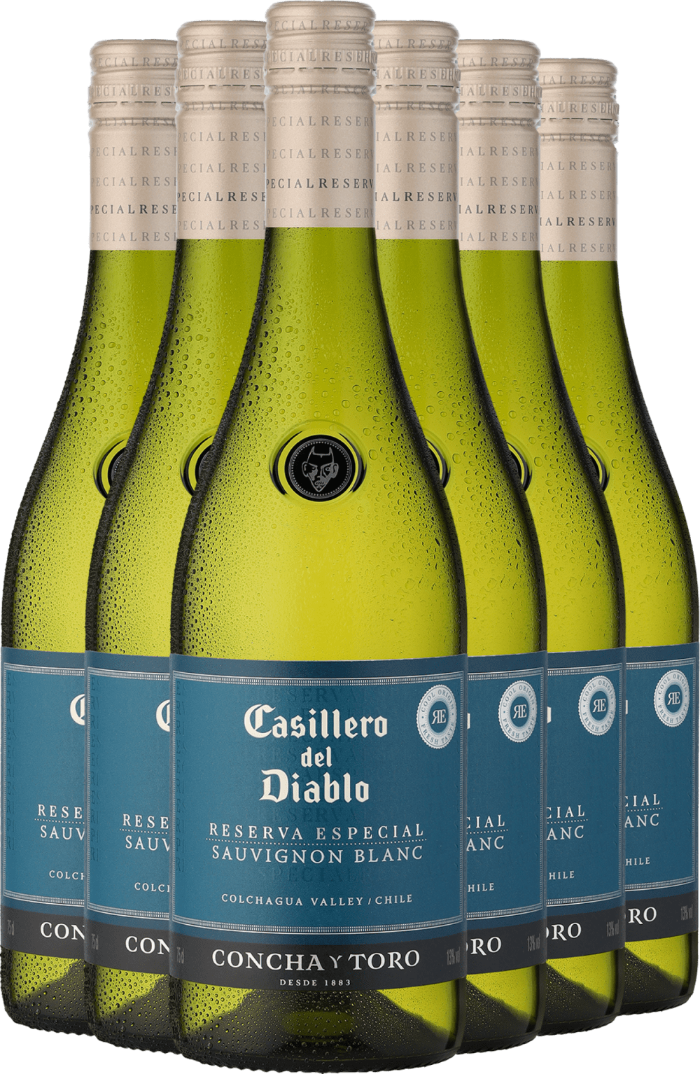 2024 Casillero del Diablo Reserva Especial Sauvignon Blanc im 6er-Vorratspaket