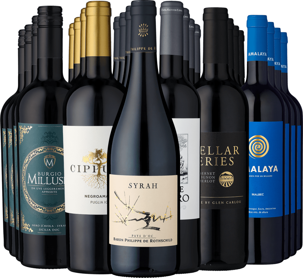 24er-Weinkellerpaket »Beste Rotweine für jeden Tag«